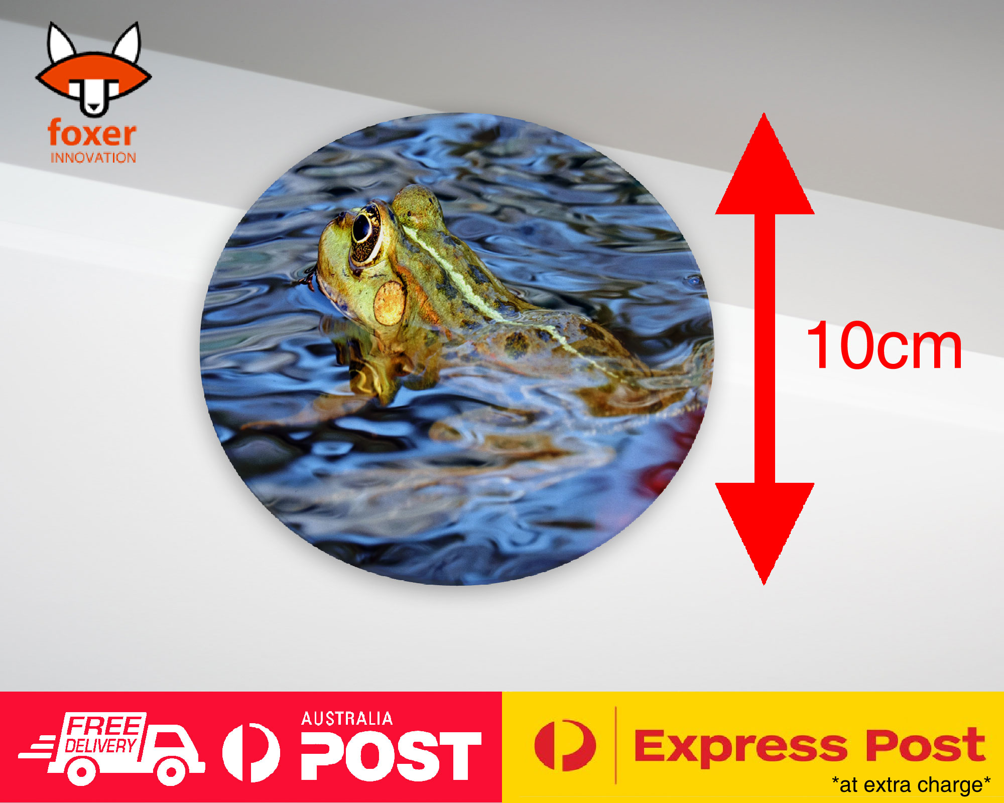 COASTER COFFEE DRINKING MAT|FROG TOAD AMPHIBIANS REPTILE #20