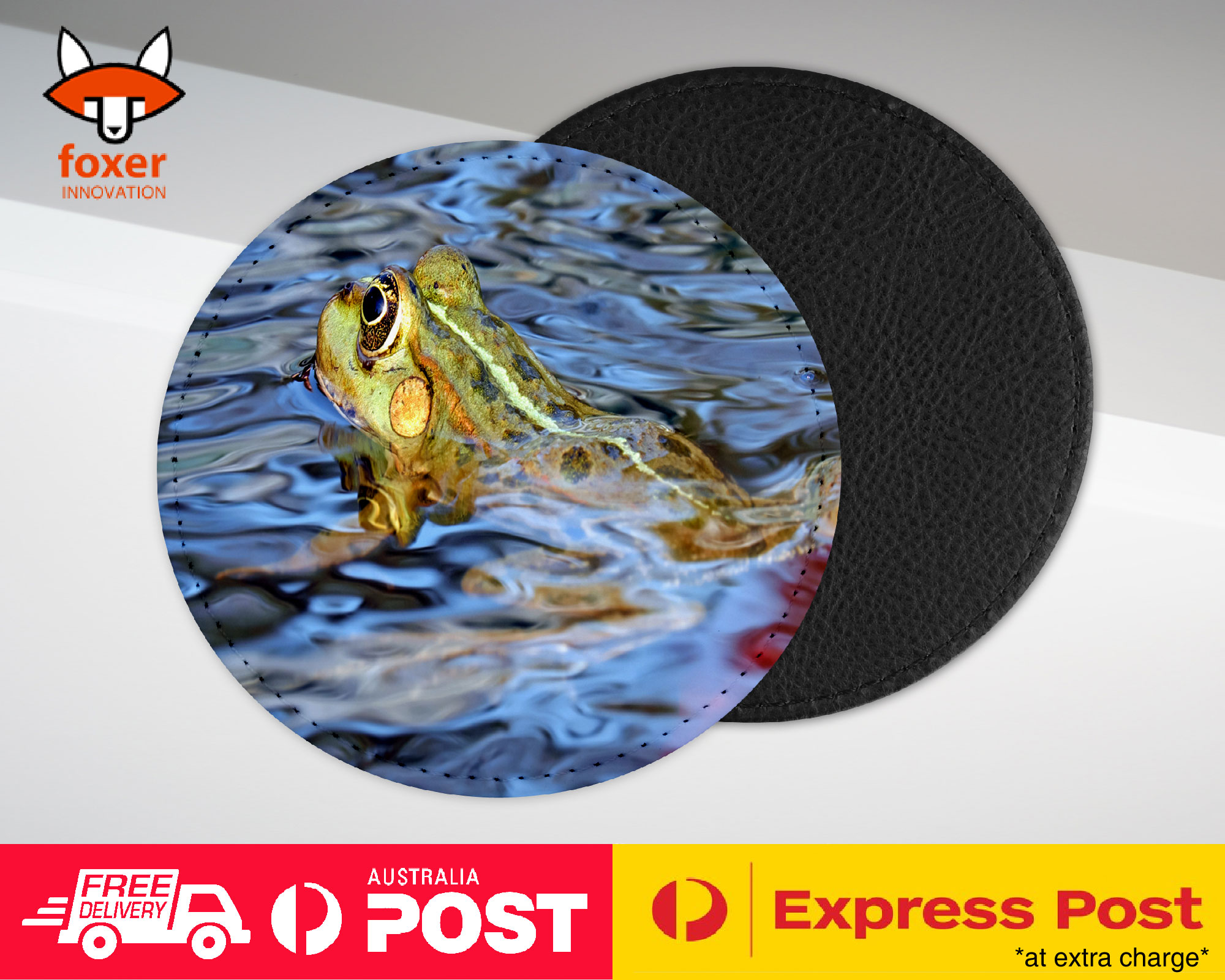 COASTER COFFEE DRINKING MAT|FROG TOAD AMPHIBIANS REPTILE #20