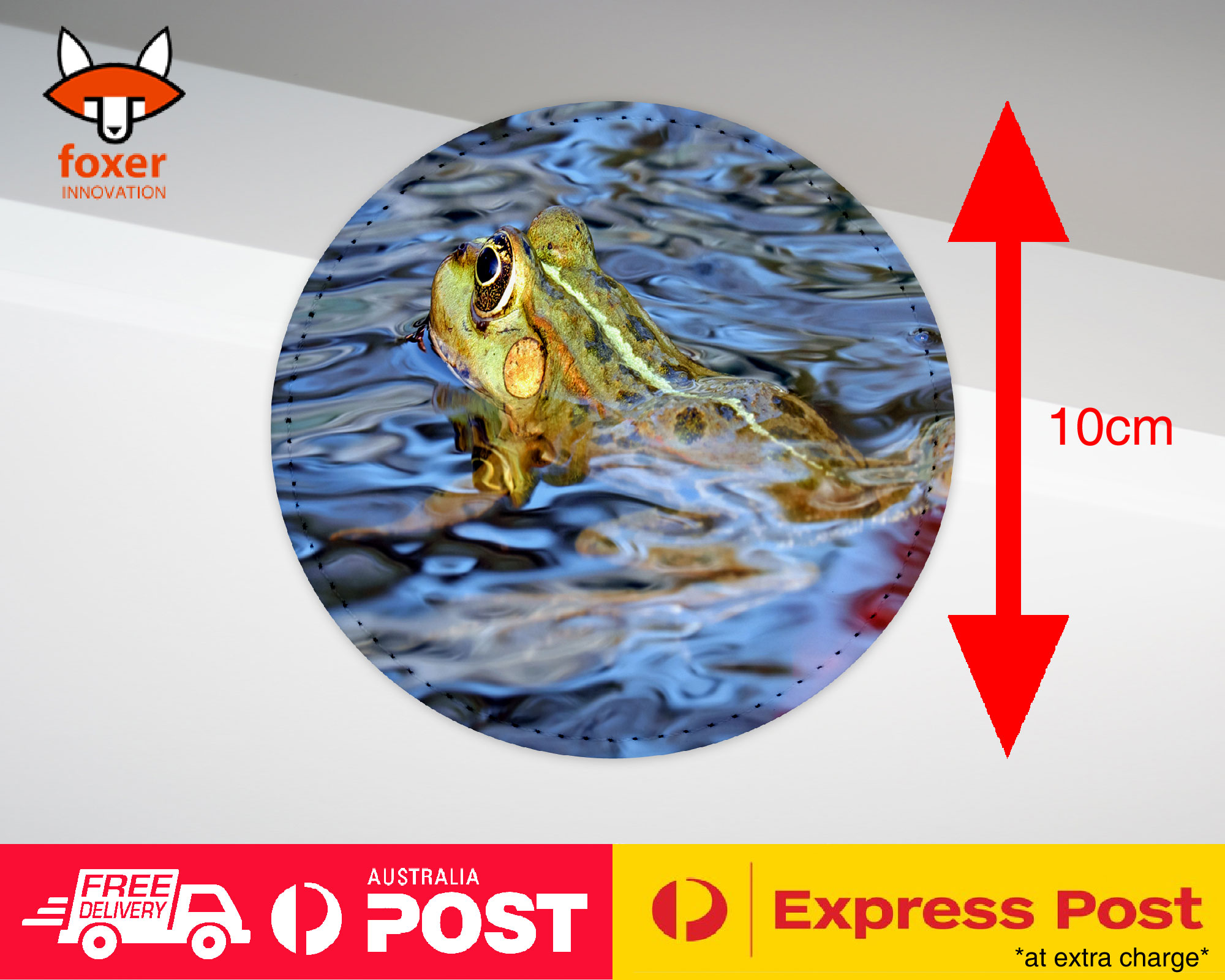 COASTER COFFEE DRINKING MAT|FROG TOAD AMPHIBIANS REPTILE #20