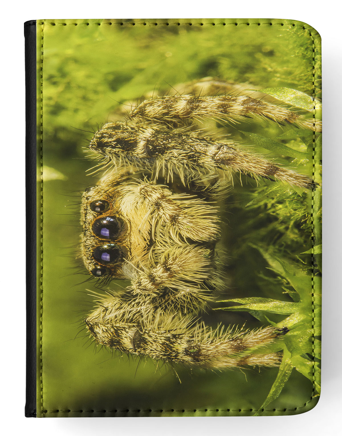 FUNDA FUNDA PARA APPLE IPAD|ESPELUZNANTE INSECTO ARAÑA ARTRÓPODO 13 - Imagen 22 de 55
