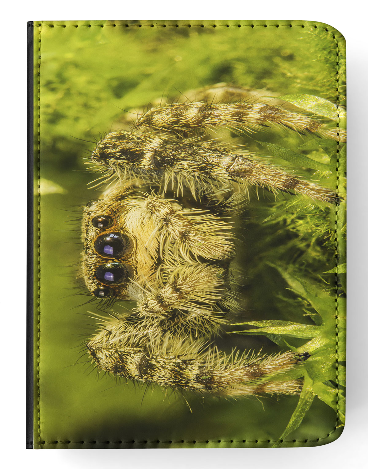 FUNDA FUNDA PARA APPLE IPAD|ESPELUZNANTE INSECTO ARAÑA ARTRÓPODO 13 - Imagen 12 de 55