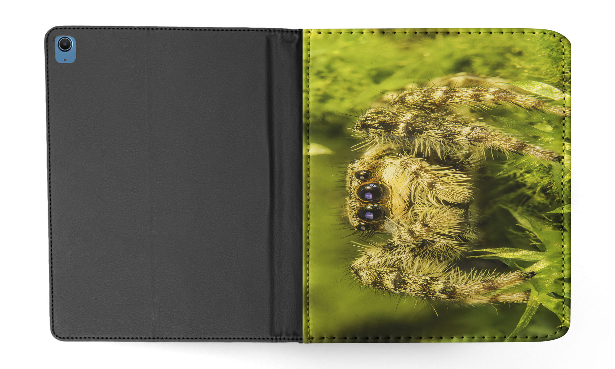 FUNDA FUNDA PARA APPLE IPAD|ESPELUZNANTE INSECTO ARAÑA ARTRÓPODO 13 - Imagen 14 de 55