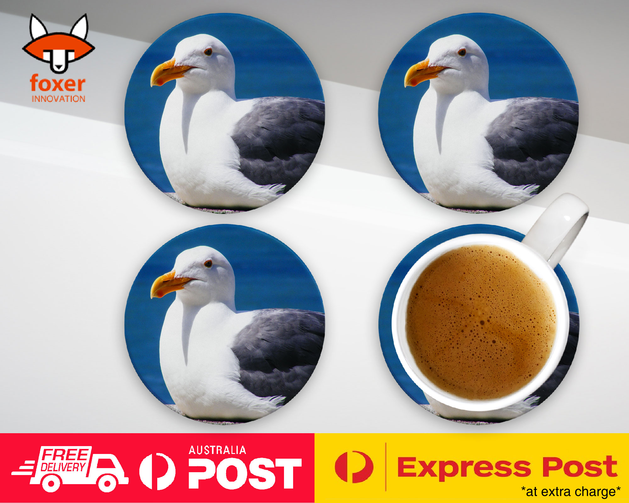 COASTER COFFEE DRINKING MAT|SEAGULL GULL BIRD SEABIRD #12