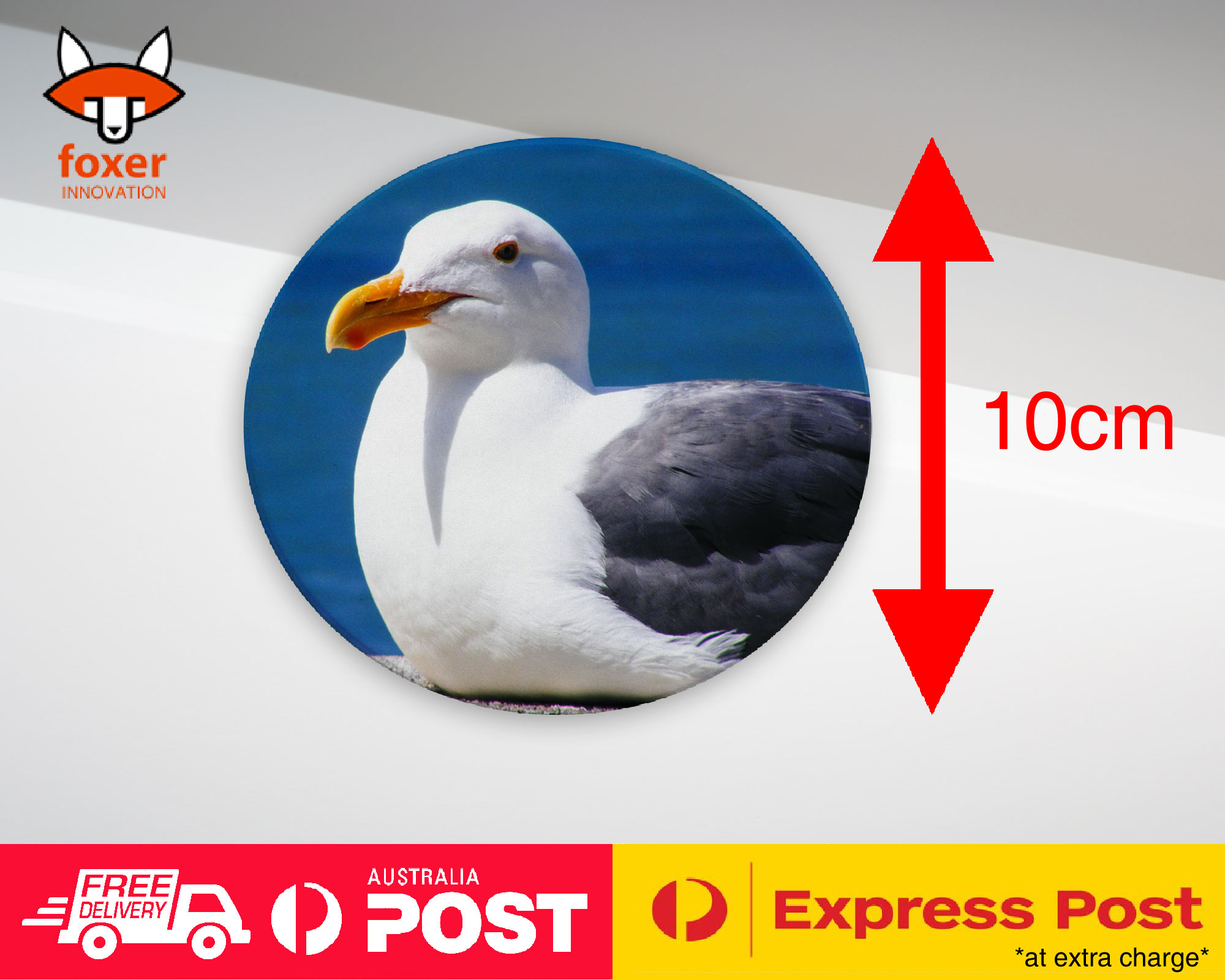 COASTER COFFEE DRINKING MAT|SEAGULL GULL BIRD SEABIRD #12