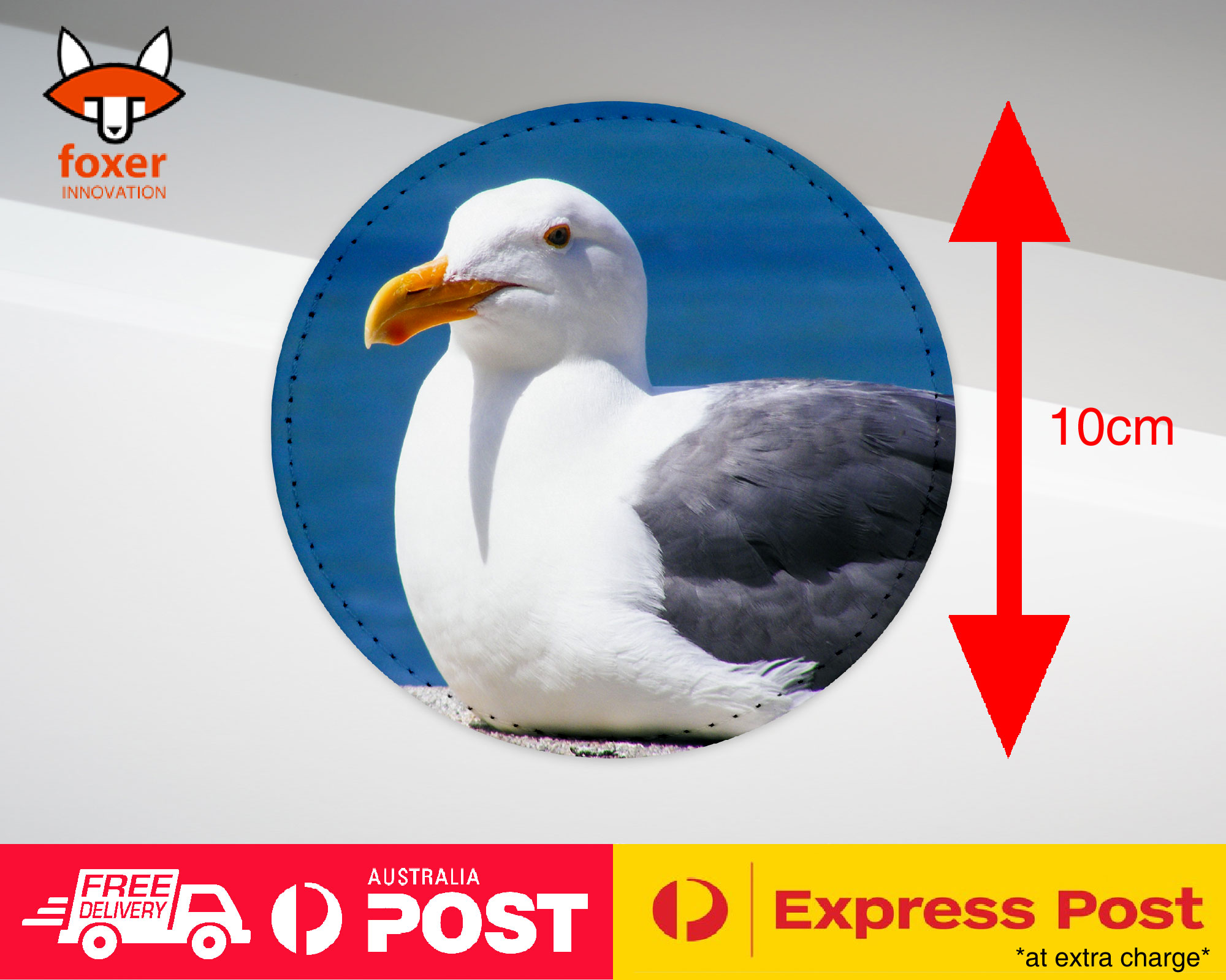 COASTER COFFEE DRINKING MAT|SEAGULL GULL BIRD SEABIRD #12
