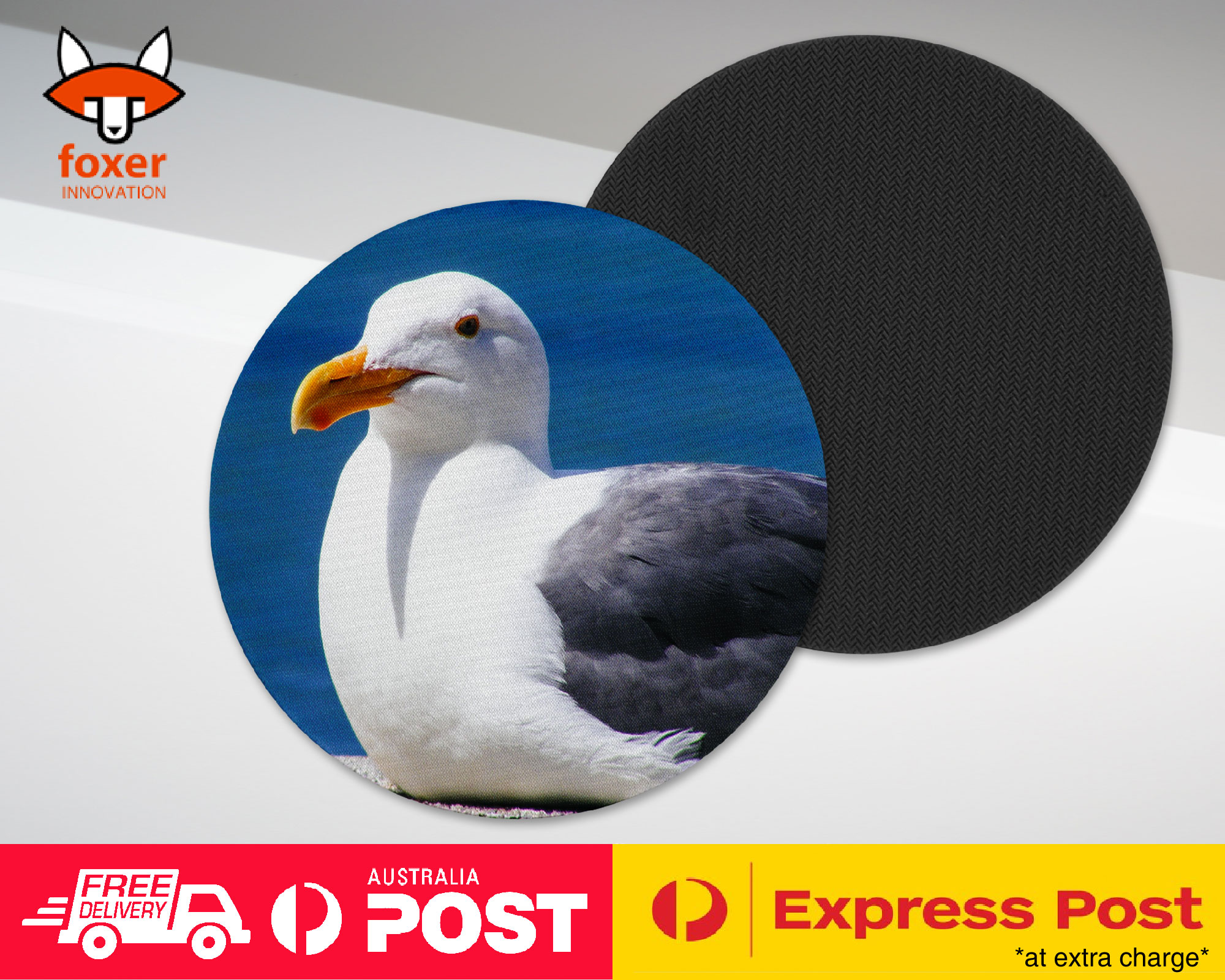 COASTER COFFEE DRINKING MAT|SEAGULL GULL BIRD SEABIRD #12