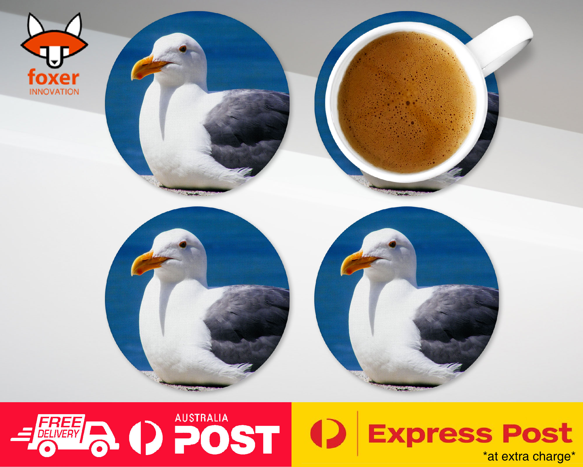 COASTER COFFEE DRINKING MAT|SEAGULL GULL BIRD SEABIRD #12
