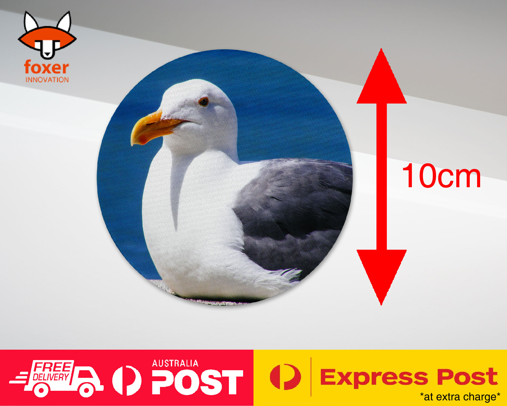 COASTER COFFEE DRINKING MAT|SEAGULL GULL BIRD SEABIRD #12