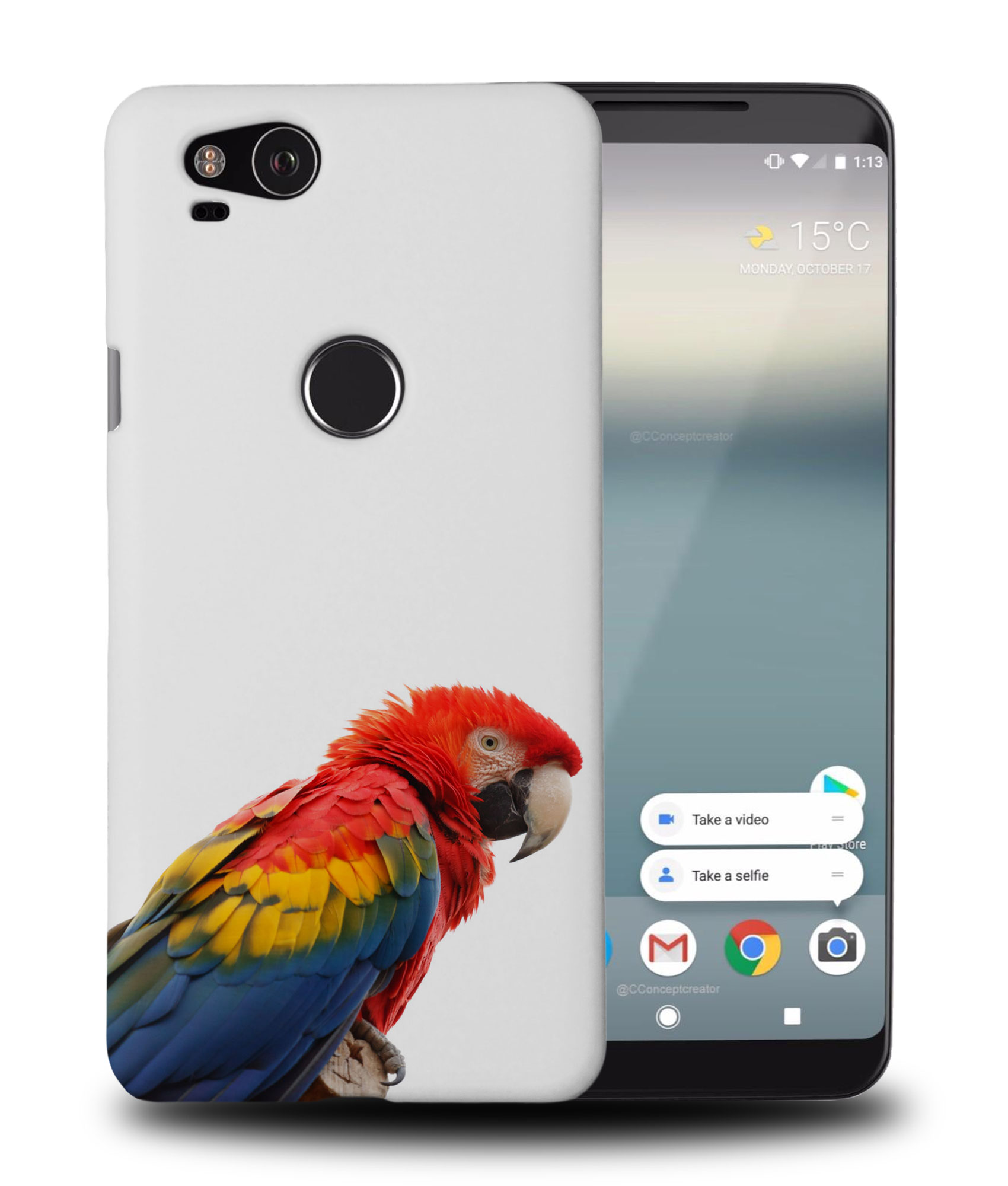 CASE COVER FOR GOOGLE PIXEL|COLORFUL BIRD PARROT - 第 9/11 張圖片