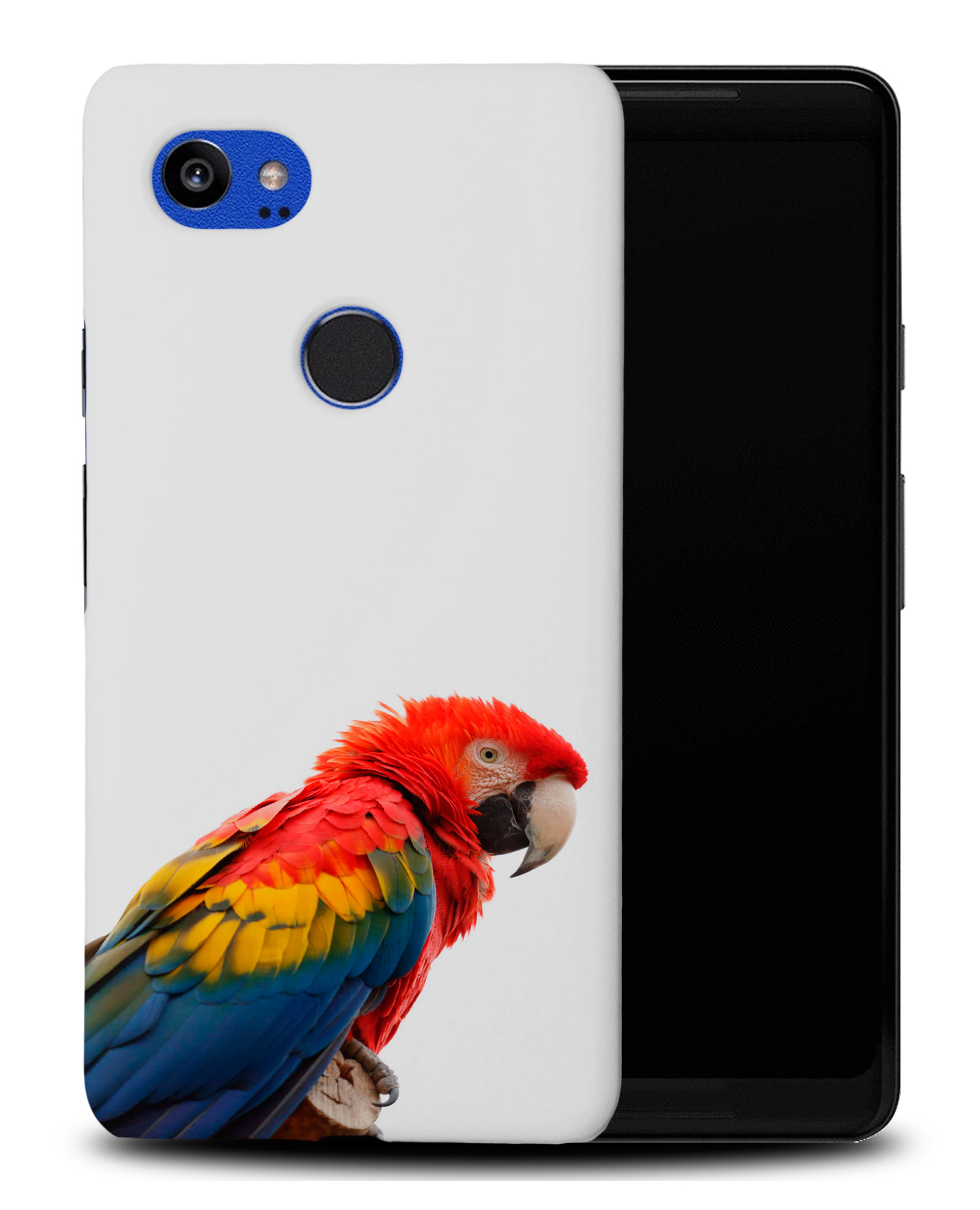 CASE COVER FOR GOOGLE PIXEL|COLORFUL BIRD PARROT - 第 8/11 張圖片