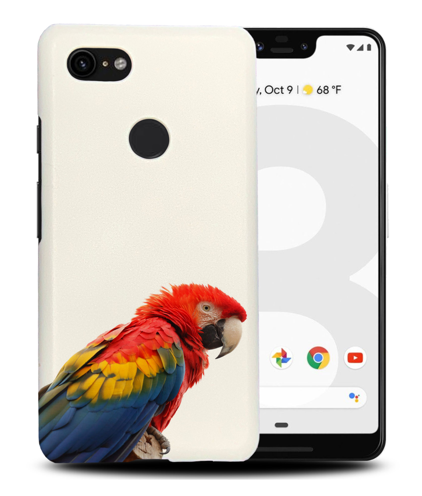 CASE COVER FOR GOOGLE PIXEL|COLORFUL BIRD PARROT - 第 6/11 張圖片