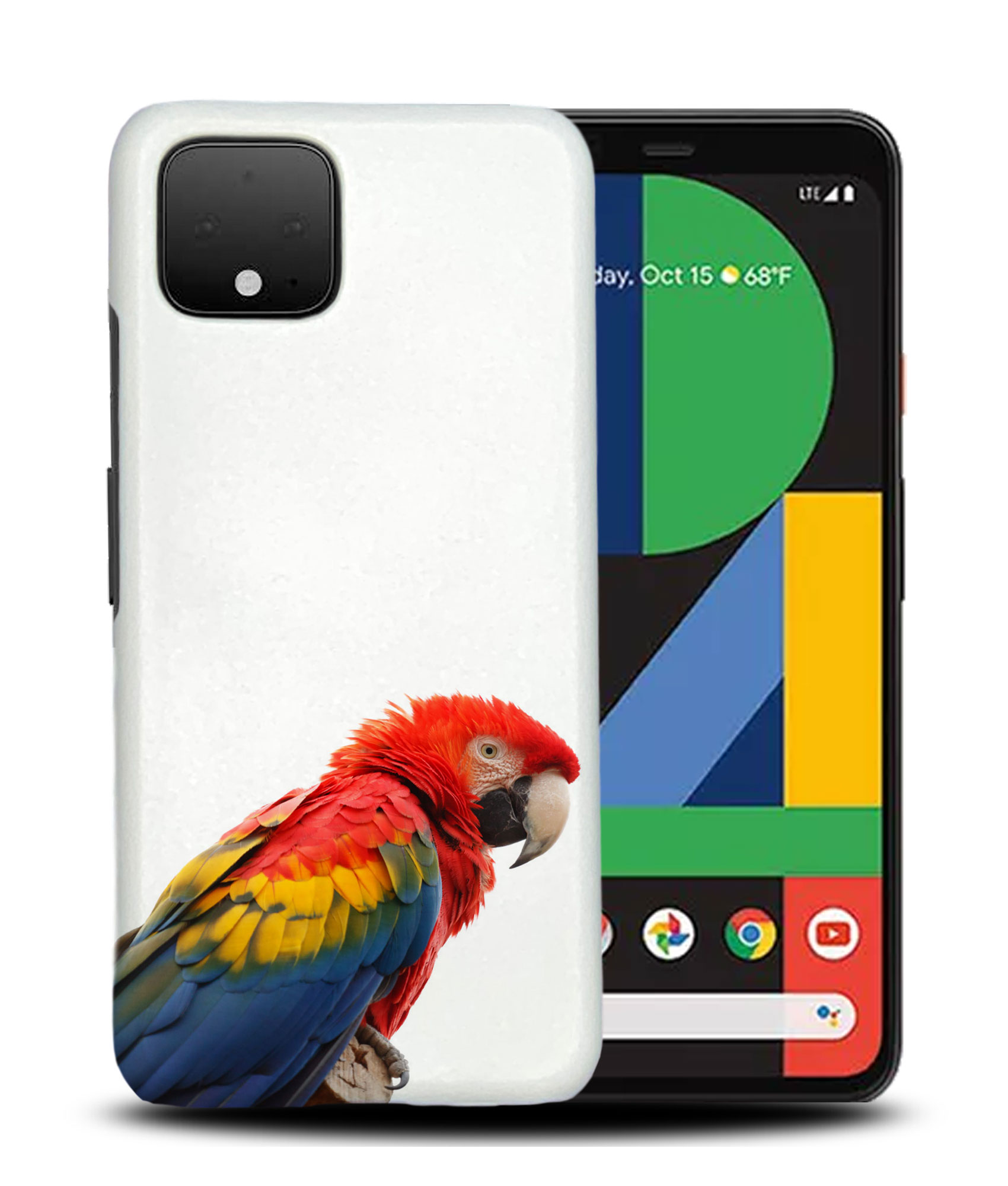 CASE COVER FOR GOOGLE PIXEL|COLORFUL BIRD PARROT - 第 5/11 張圖片