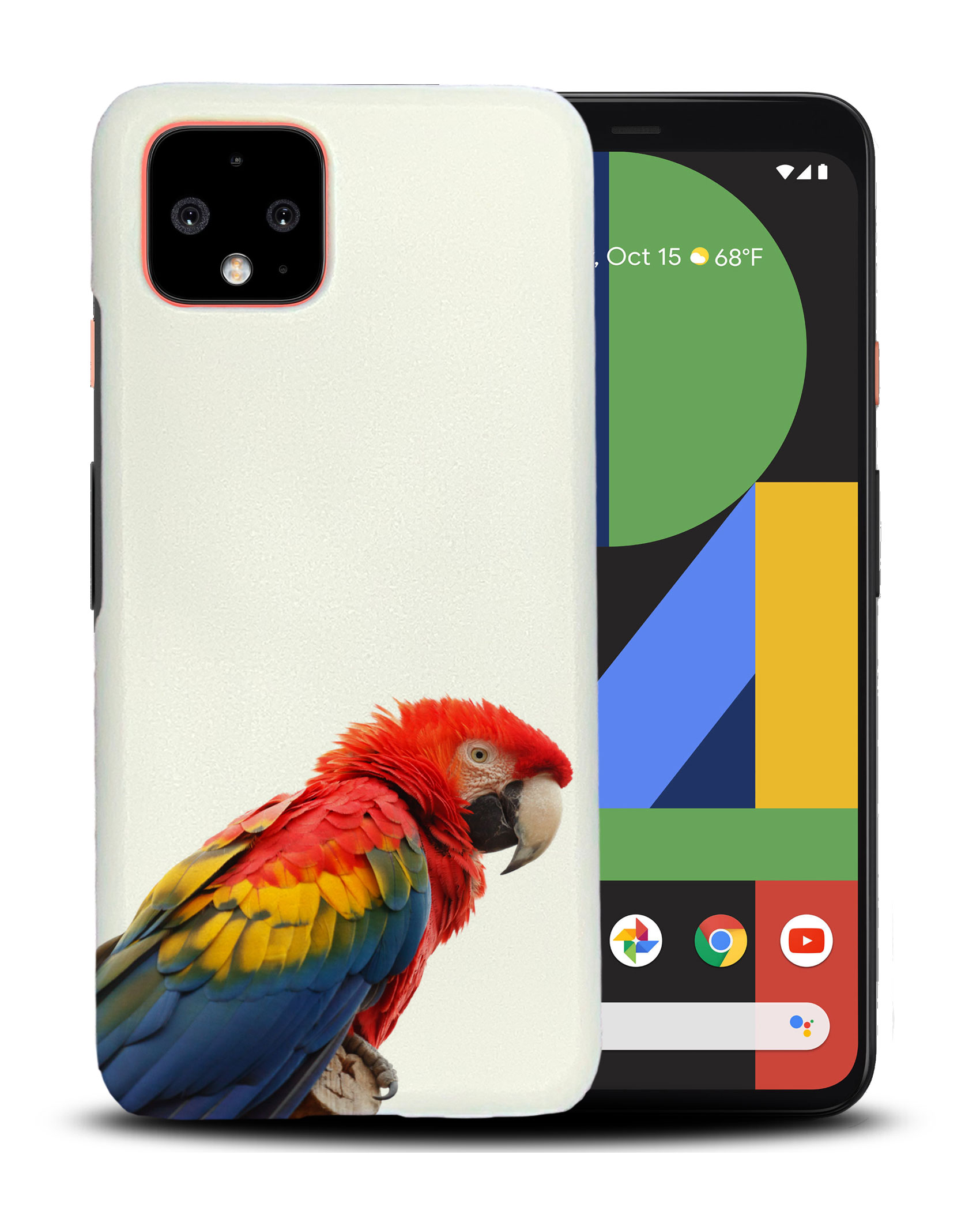 CASE COVER FOR GOOGLE PIXEL|COLORFUL BIRD PARROT - 第 4/11 張圖片