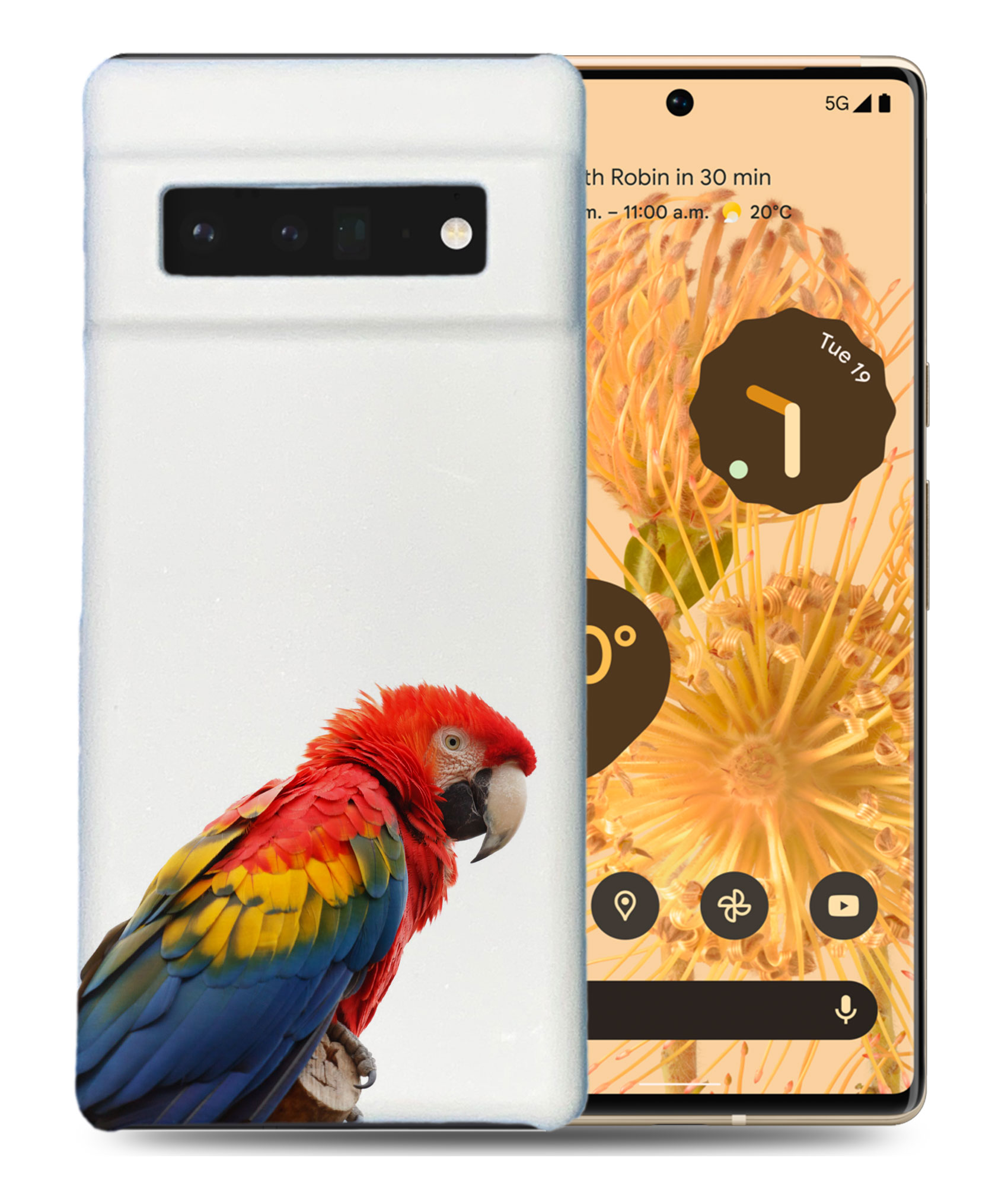 CASE COVER FOR GOOGLE PIXEL|COLORFUL BIRD PARROT - 第 2/11 張圖片