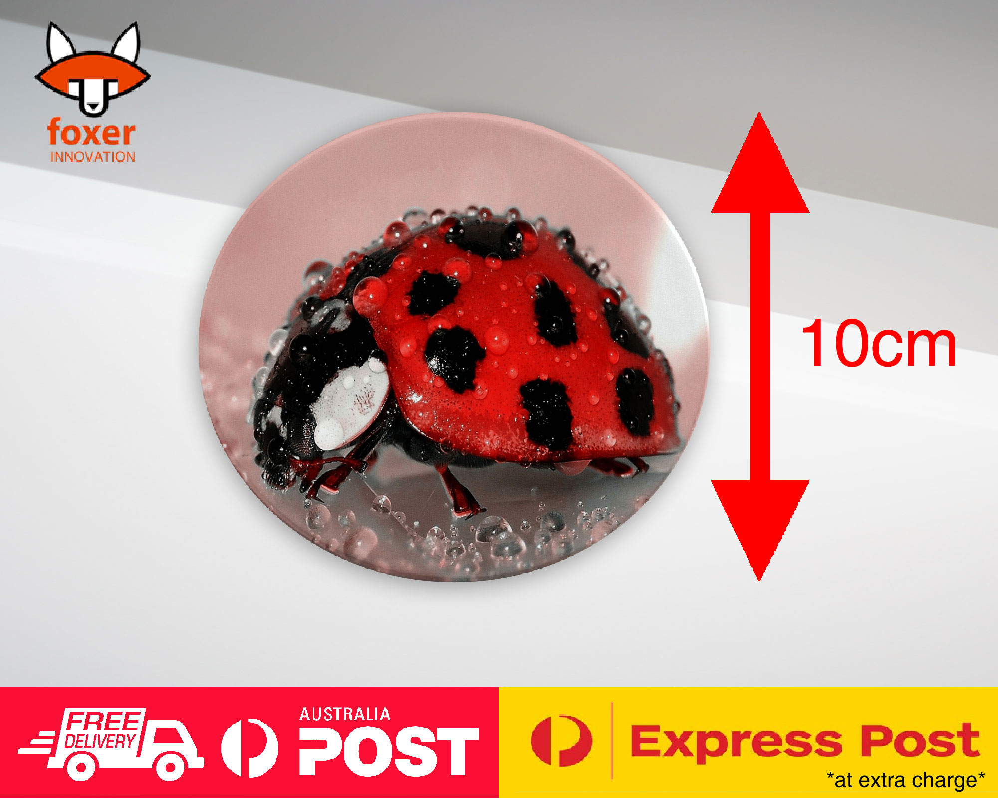 COASTER COFFEE DRINKING MAT|RED LADY BUG INSECT #2