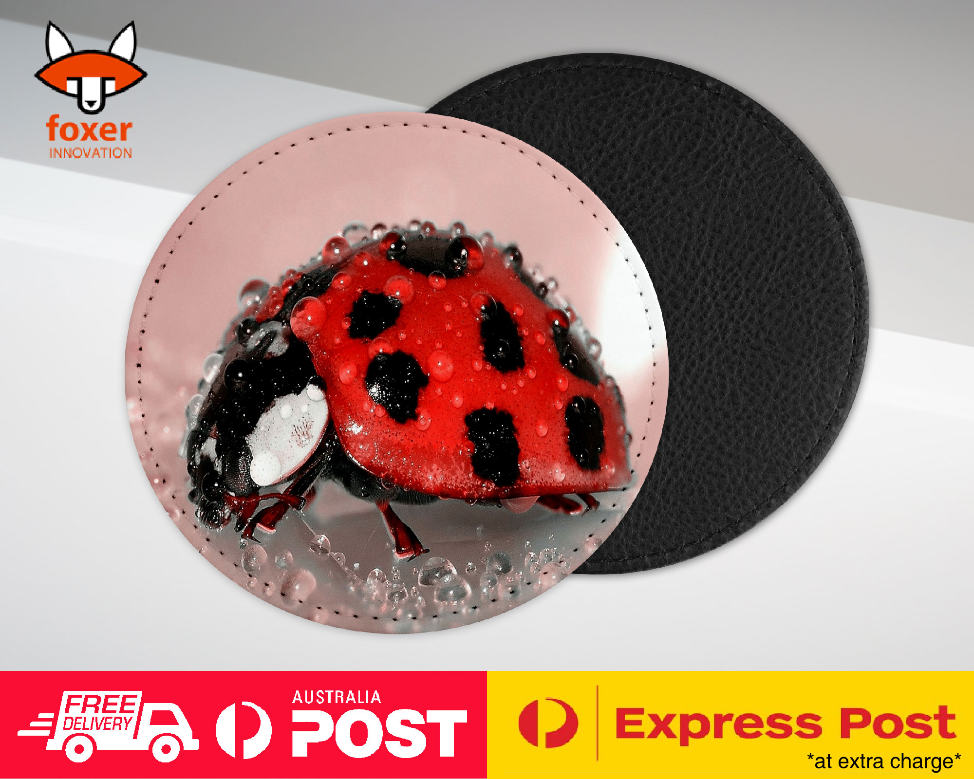 COASTER COFFEE DRINKING MAT|RED LADY BUG INSECT #2
