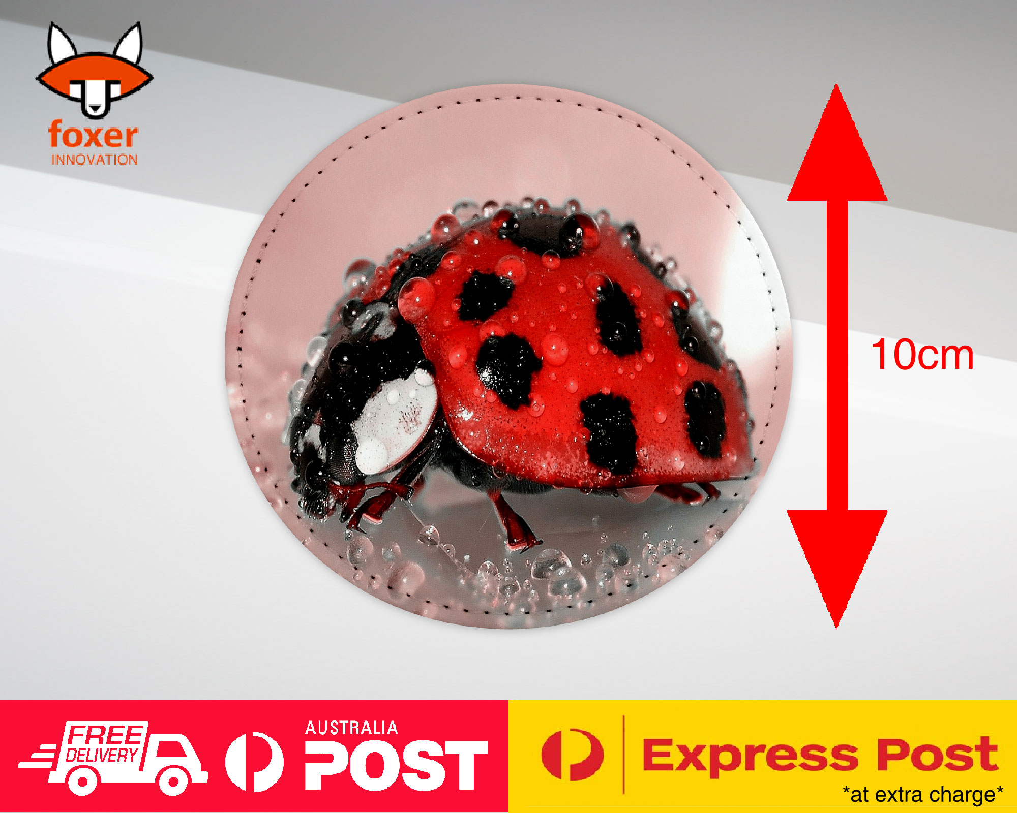 COASTER COFFEE DRINKING MAT|RED LADY BUG INSECT #2