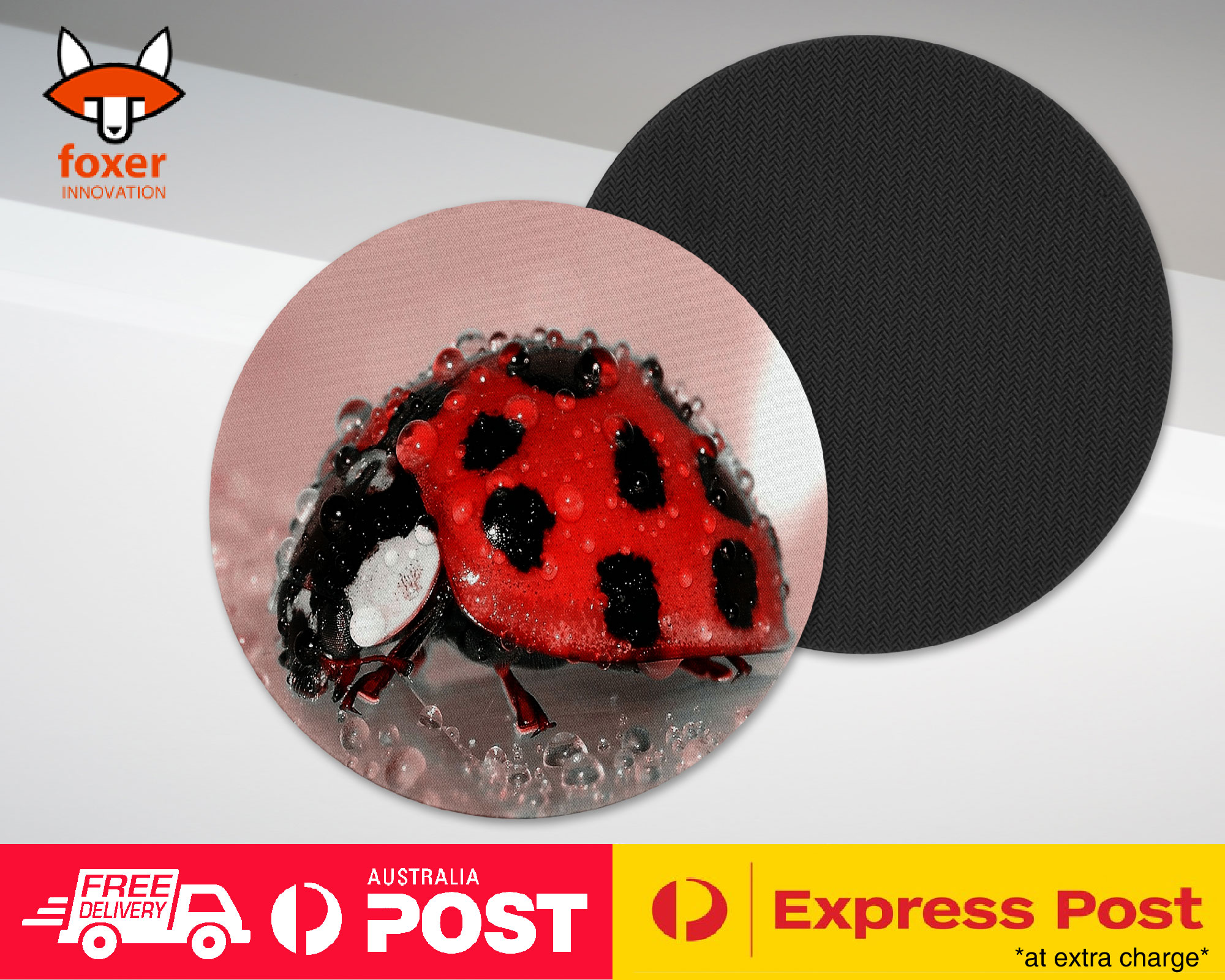 COASTER COFFEE DRINKING MAT|RED LADY BUG INSECT #2