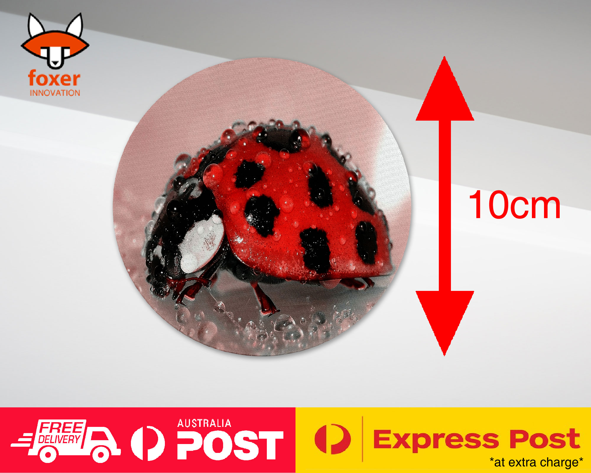 COASTER COFFEE DRINKING MAT|RED LADY BUG INSECT #2