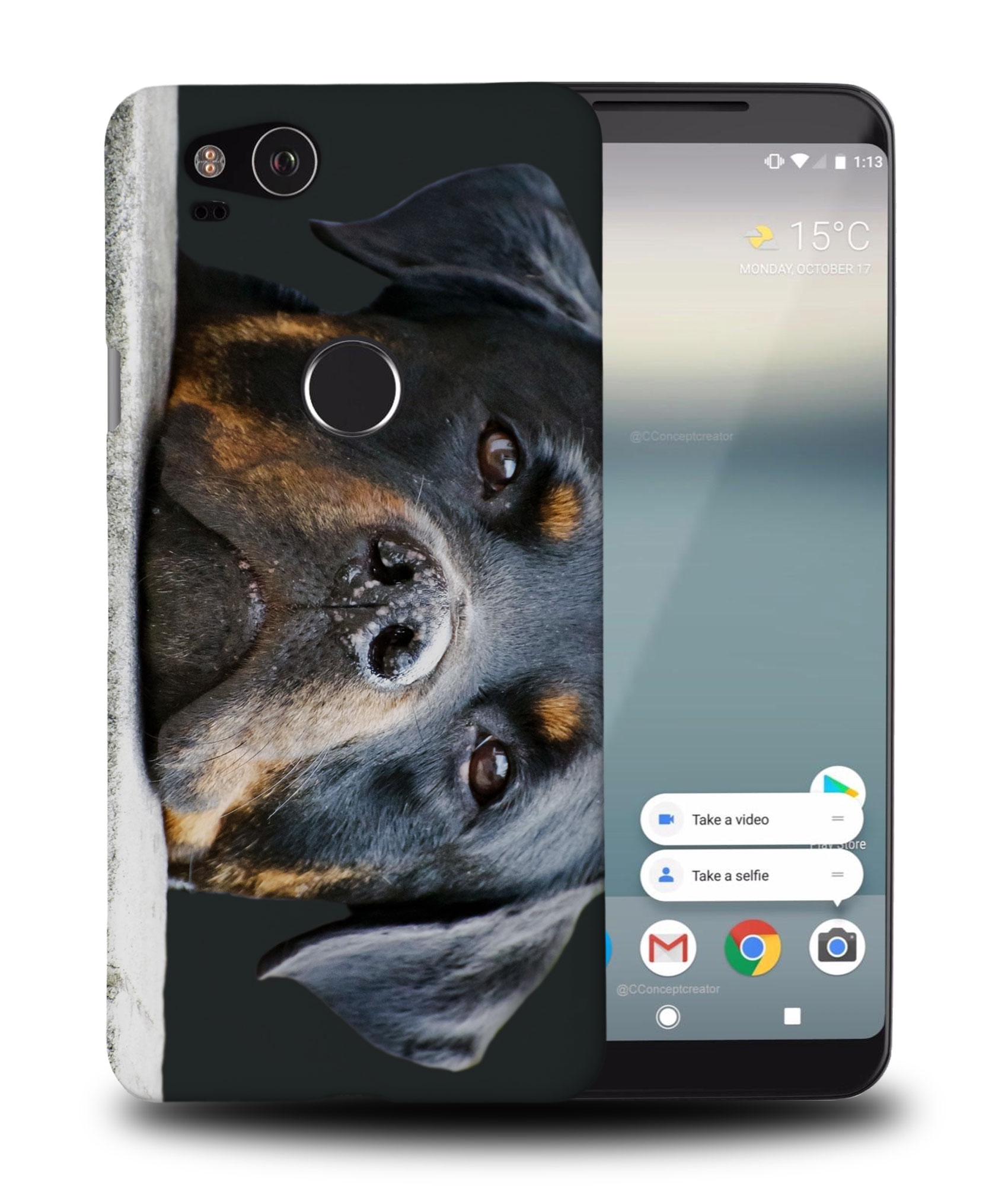 CASE COVER FOR GOOGLE PIXEL|CUTE DOG PUPPY CANINE ROTTWEILER - 第 9/11 張圖片