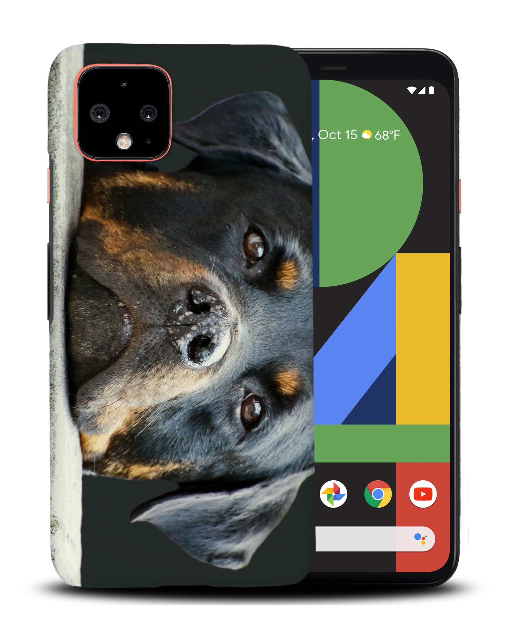 CASE COVER FOR GOOGLE PIXEL|CUTE DOG PUPPY CANINE ROTTWEILER - 第 4/11 張圖片