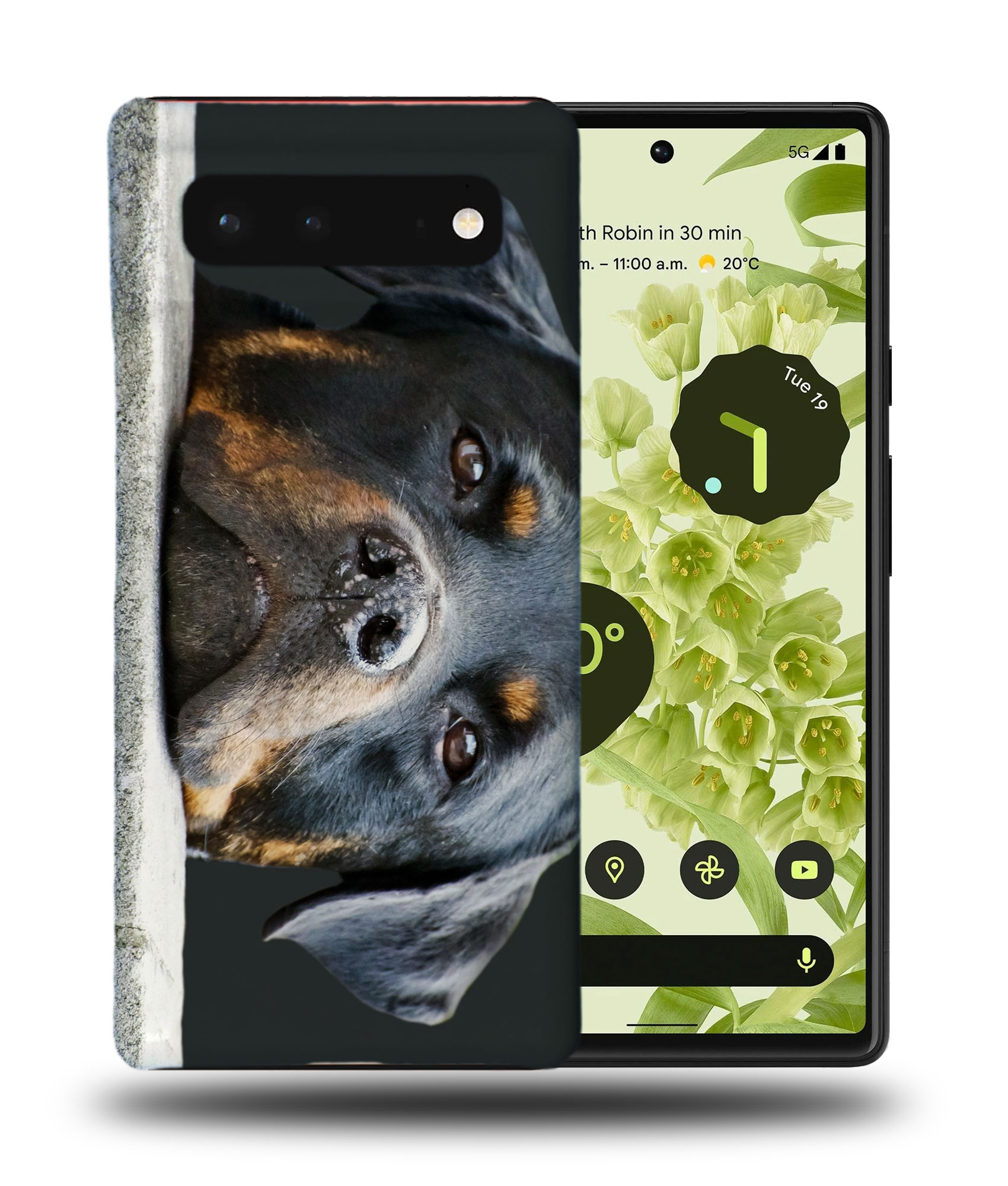 CASE COVER FOR GOOGLE PIXEL|CUTE DOG PUPPY CANINE ROTTWEILER - 第 3/11 張圖片