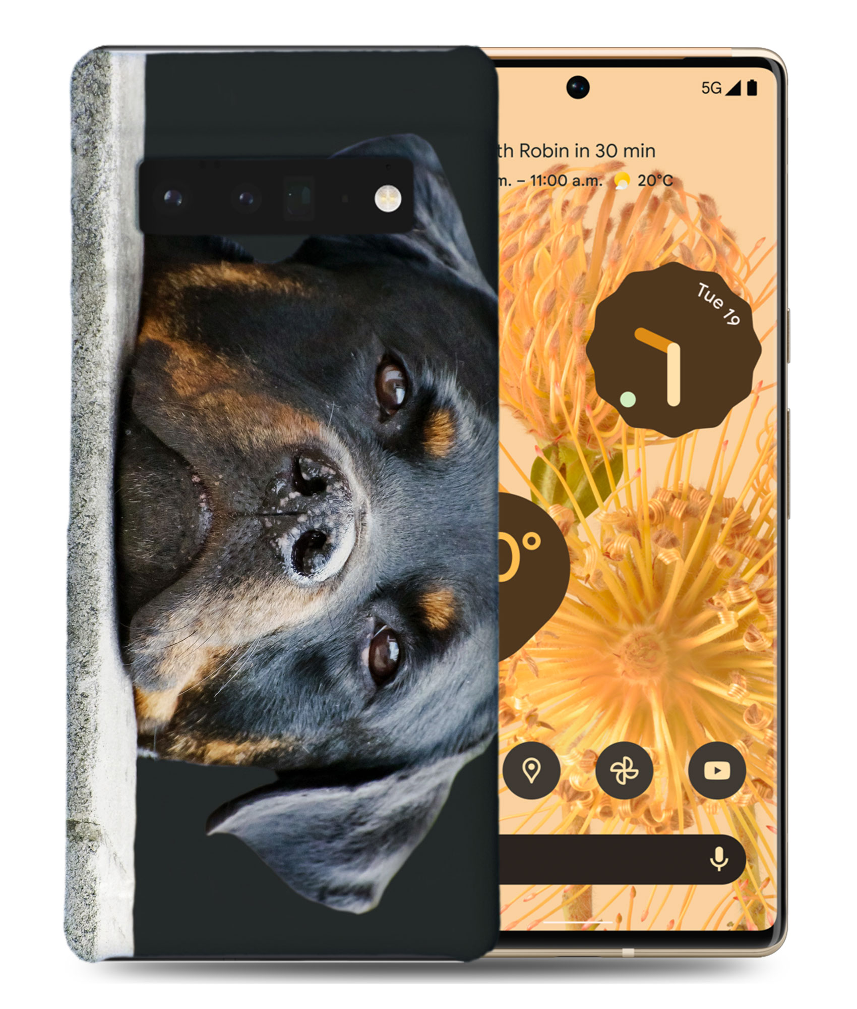 CASE COVER FOR GOOGLE PIXEL|CUTE DOG PUPPY CANINE ROTTWEILER - 第 2/11 張圖片