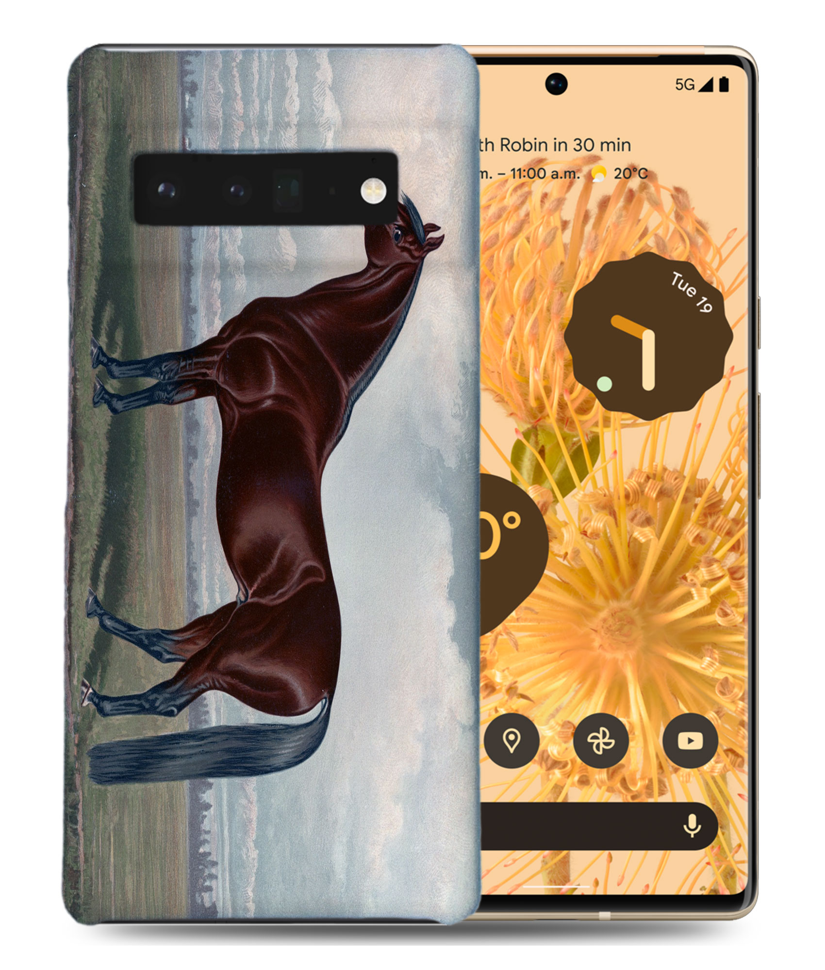 CASE COVER FOR GOOGLE PIXEL|FUN CLASSIC BROWN HORSE - Picture 2 of 11