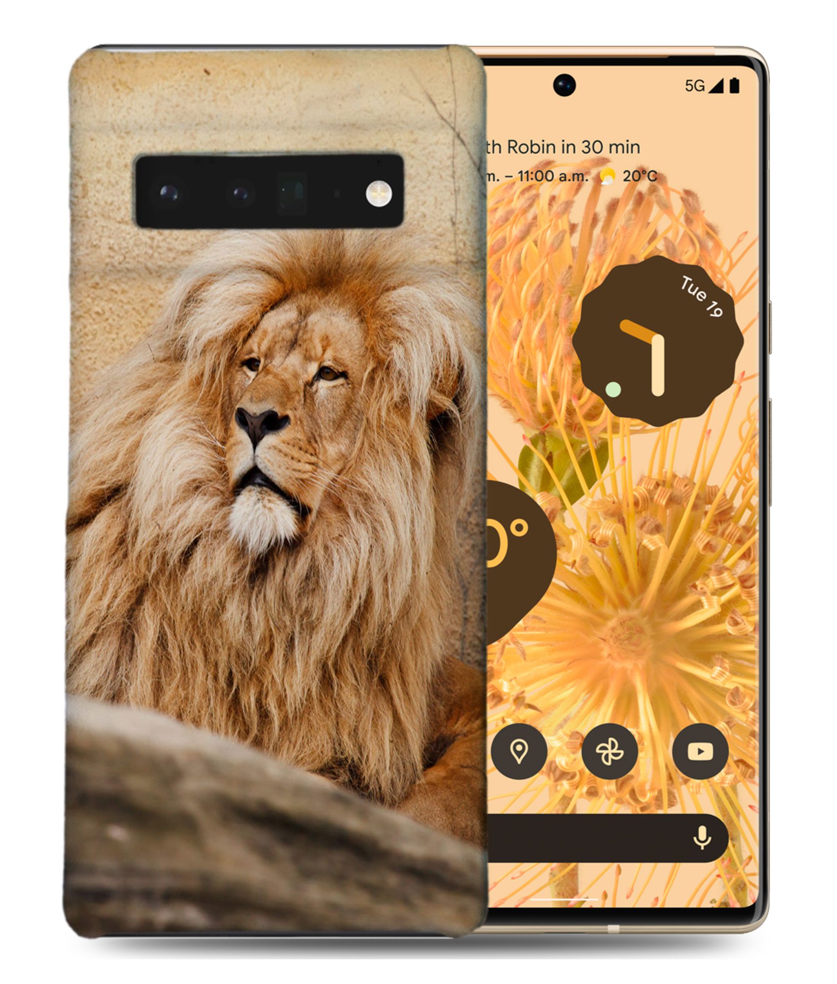 CASE COVER FOR GOOGLE PIXEL|FUN CLASSIC CUTE LION #2 - 第 2/11 張圖片