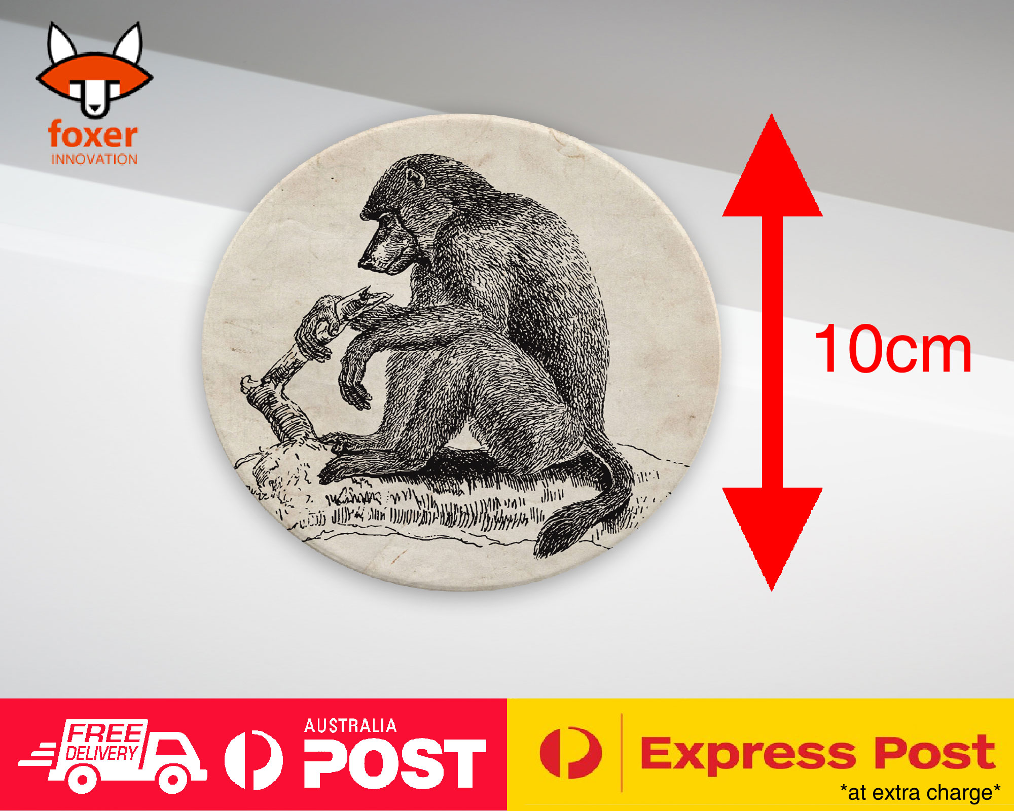 COASTER COFFEE DRINKING MAT|CHACMA-BABOON MONKEY