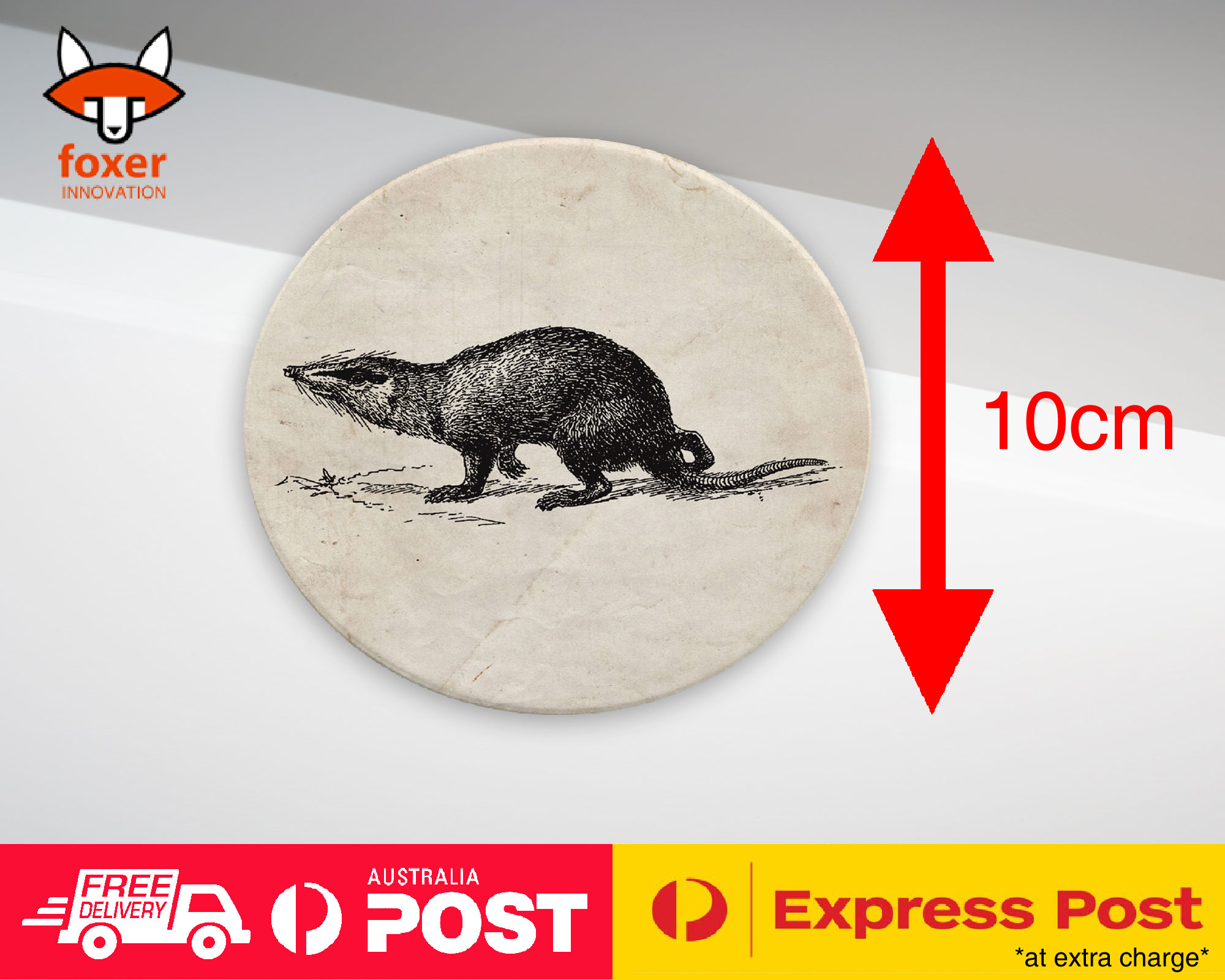 COASTER COFFEE DRINKING MAT|GYMNURA FISH