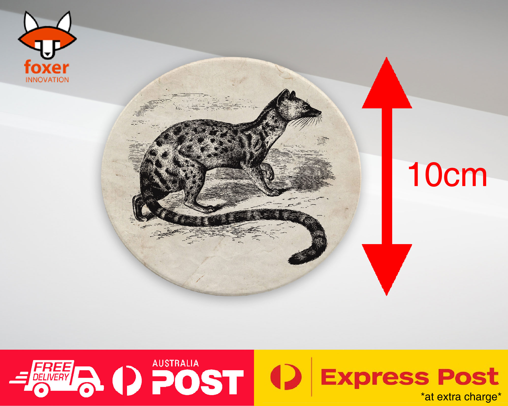 COASTER COFFEE DRINKING MAT|POIANA BIRD - Imagen 11 de 21
