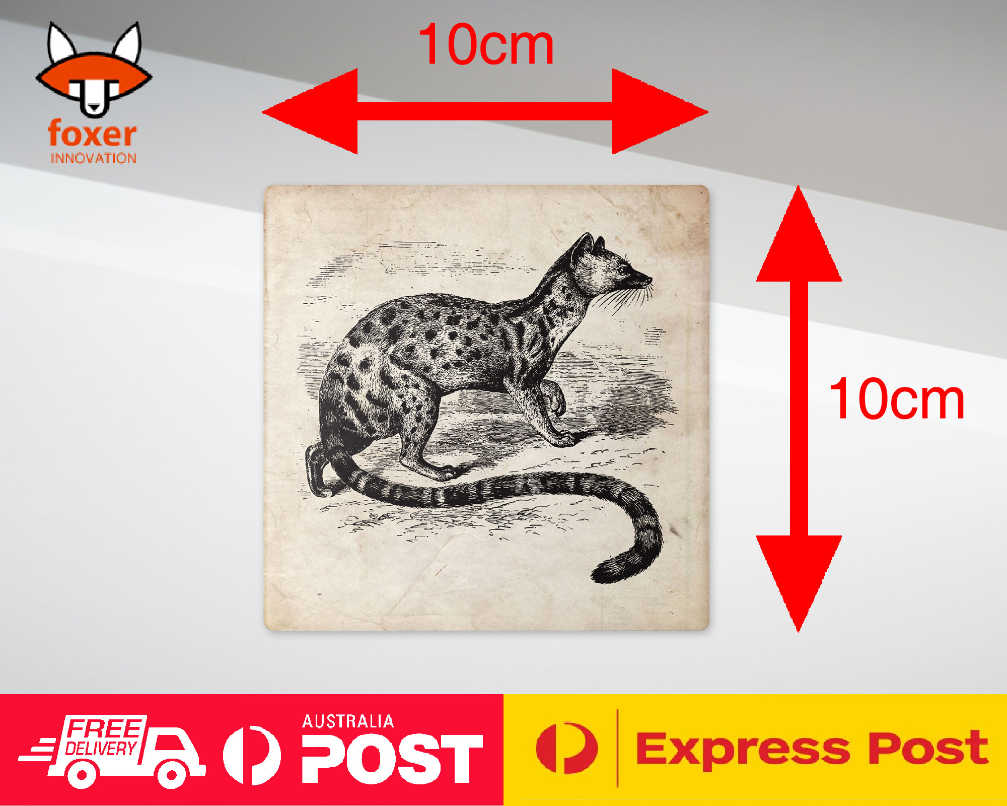 COASTER COFFEE DRINKING MAT|POIANA BIRD - Imagen 21 de 21