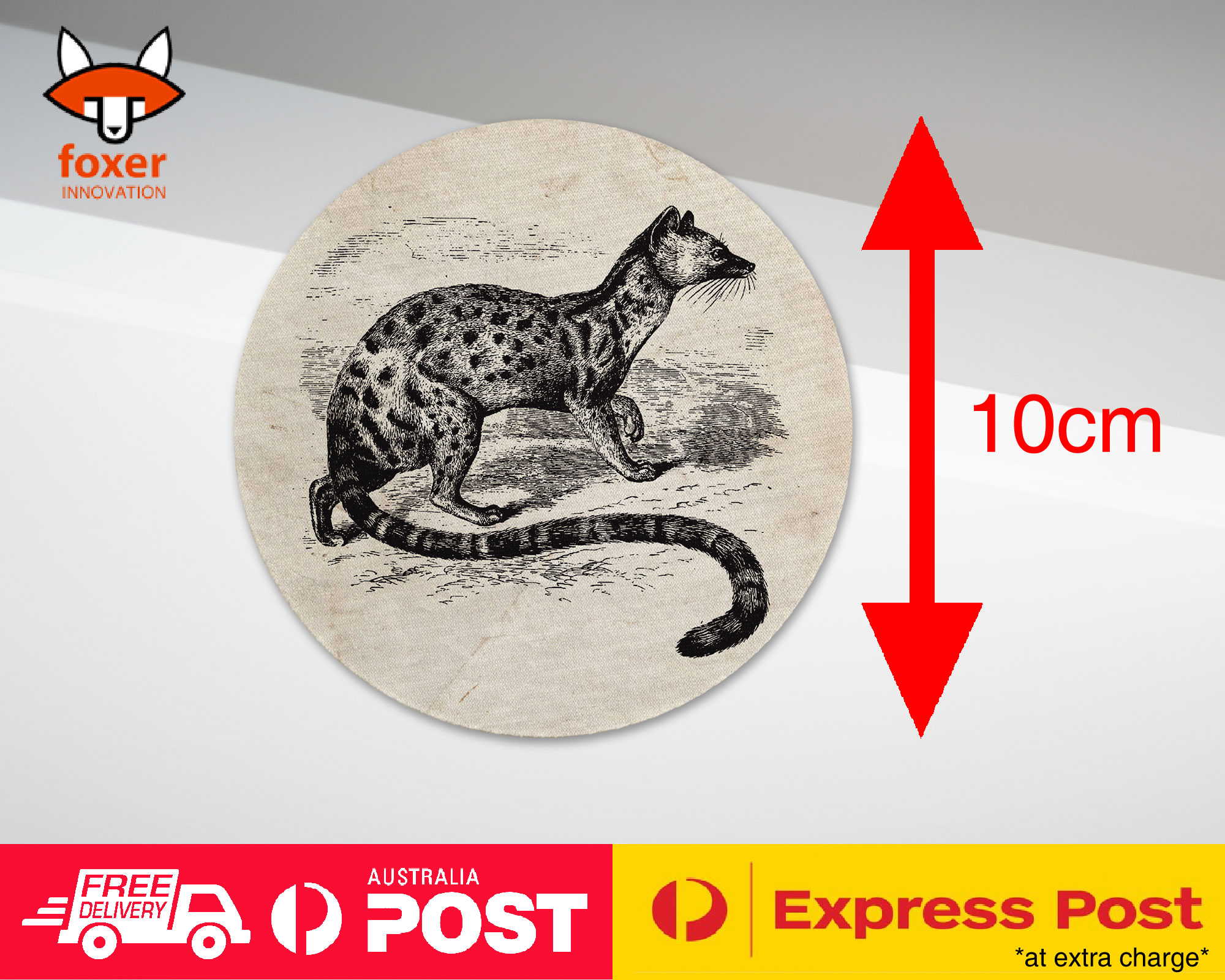 COASTER COFFEE DRINKING MAT|POIANA BIRD - Imagen 4 de 21
