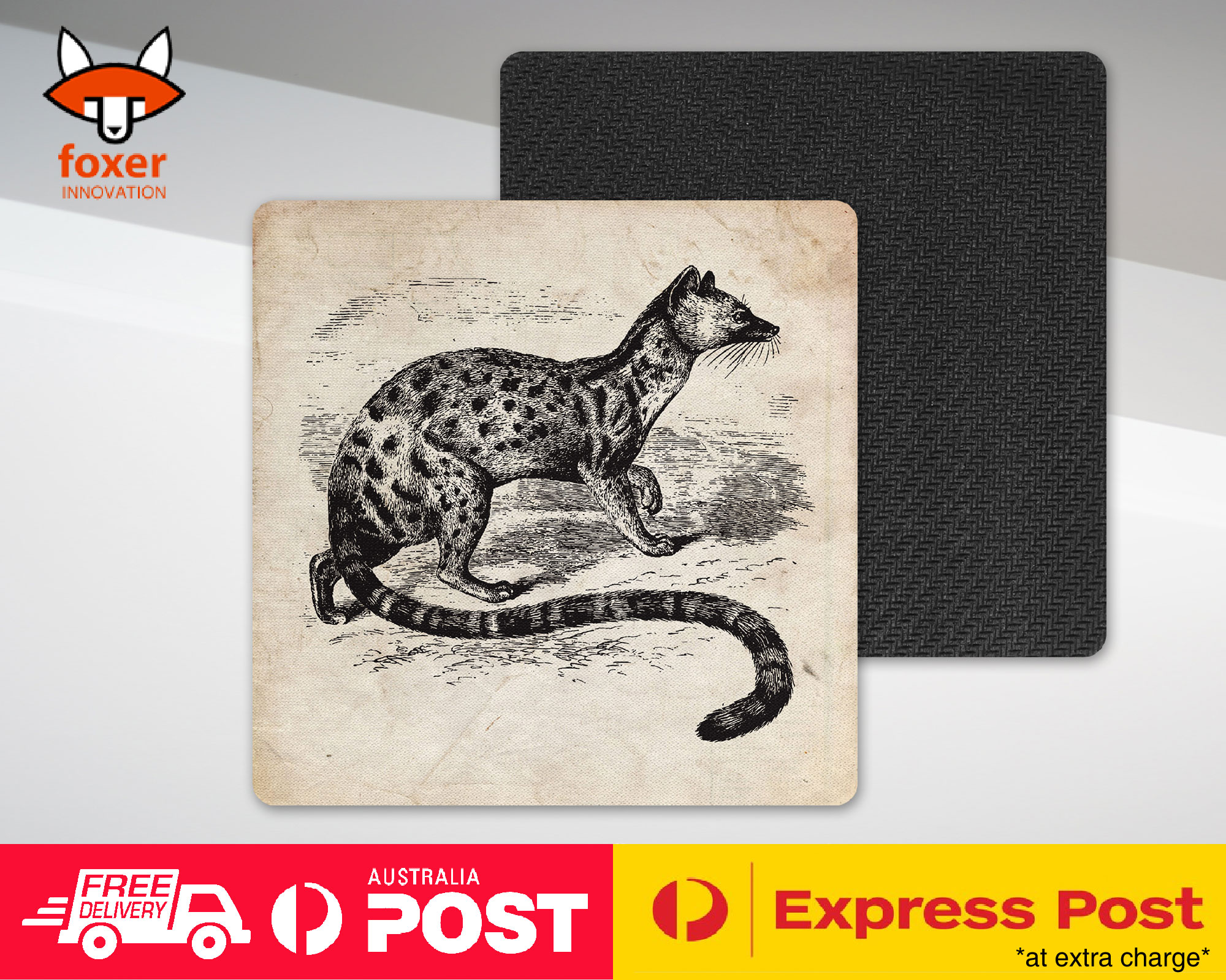 COASTER COFFEE DRINKING MAT|POIANA BIRD - Imagen 12 de 21