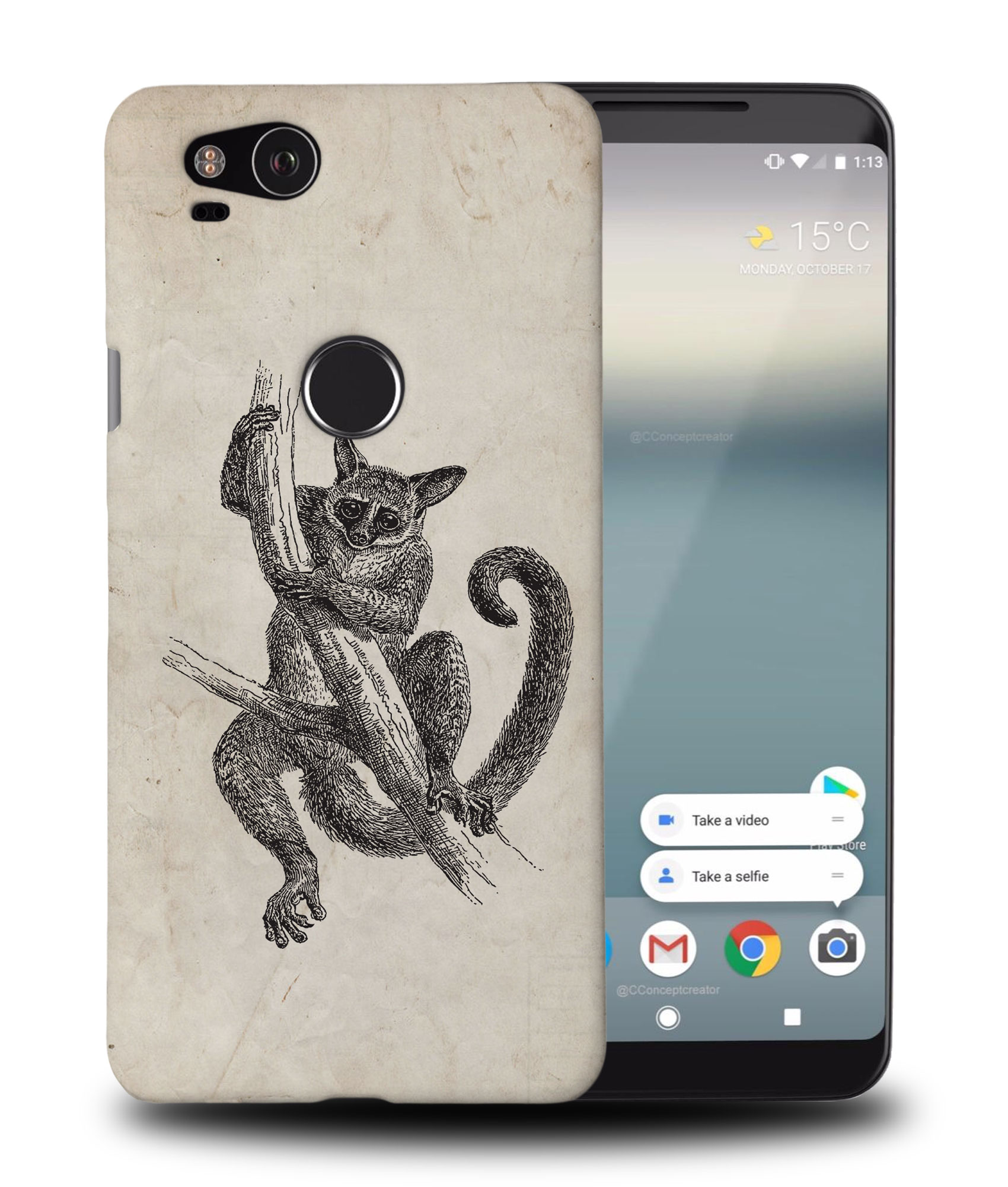 FUNDA FUNDA PARA GOOGLE PIXEL|SENEGAL-GALAGO - Imagen 9 de 11