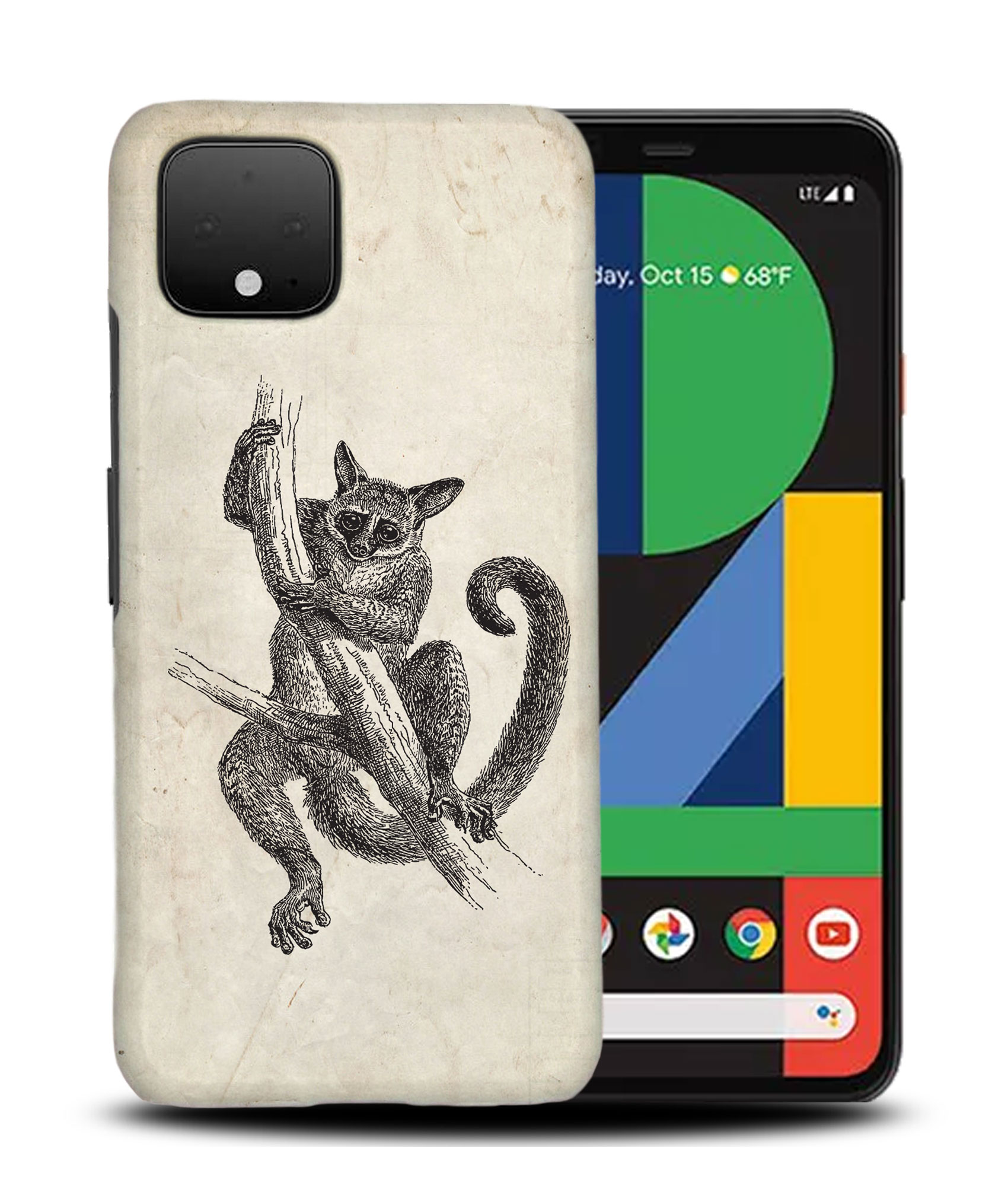 FUNDA FUNDA PARA GOOGLE PIXEL|SENEGAL-GALAGO - Imagen 5 de 11