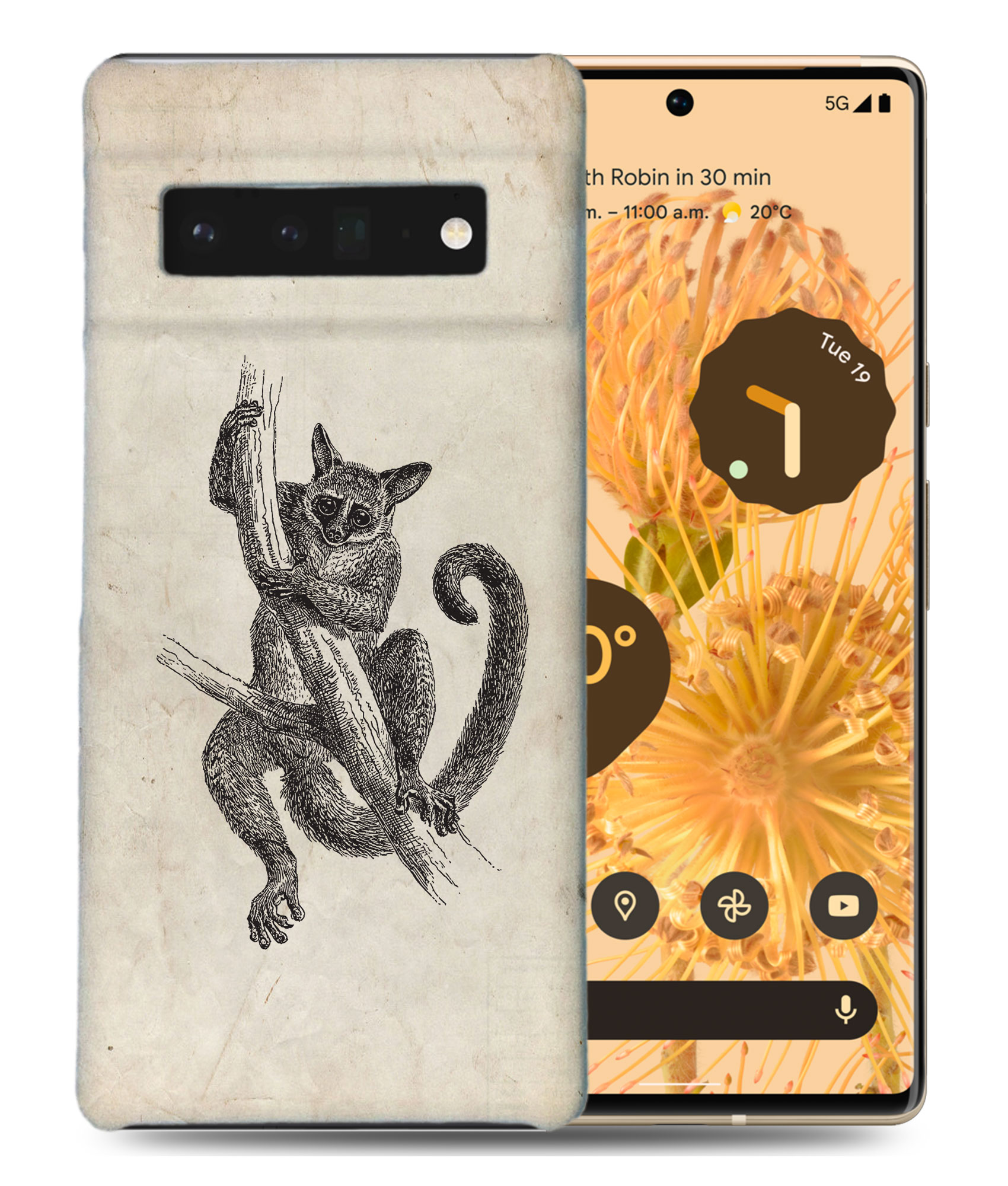 FUNDA FUNDA PARA GOOGLE PIXEL|SENEGAL-GALAGO - Imagen 2 de 11
