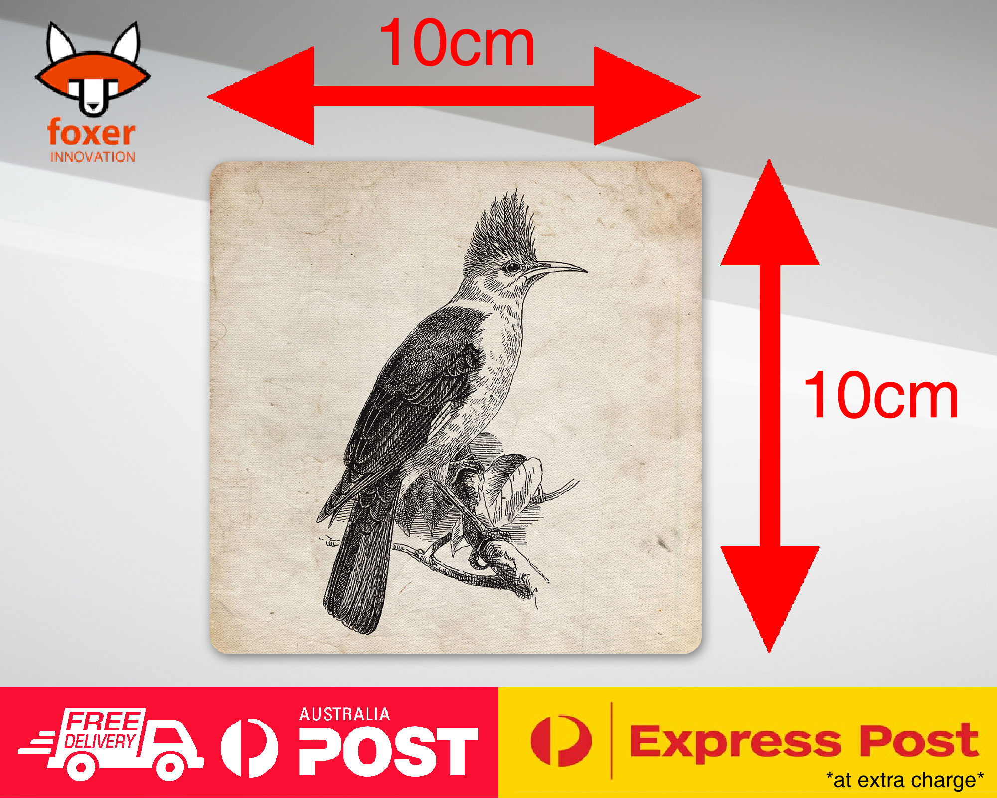 COASTER COFFEE DRINKING MAT|STARLING BIRD - Bild 14 von 21
