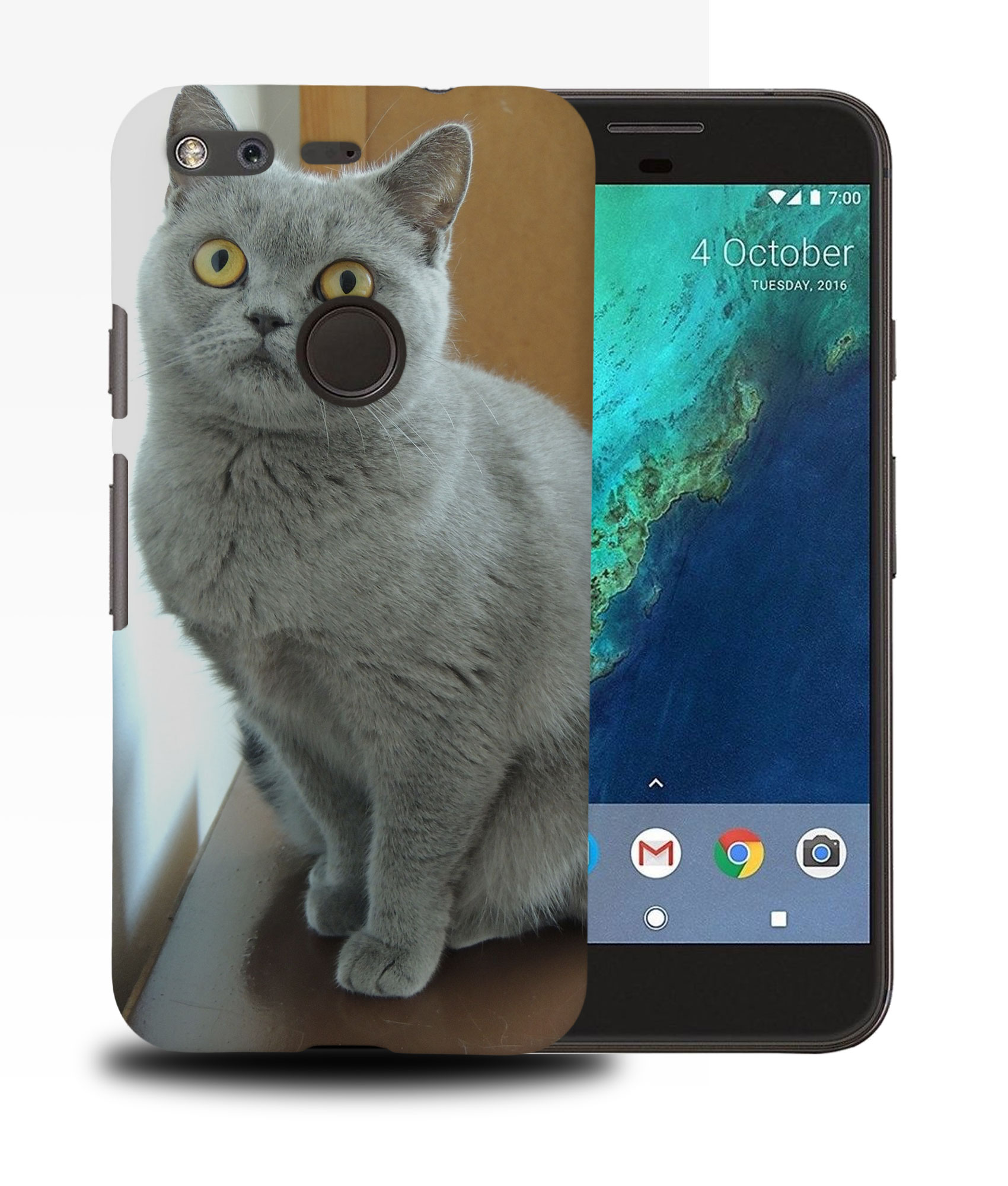 CASE COVER FOR GOOGLE PIXEL|BRITISH SHORTHAIR CAT 22 - Picture 11 of 11