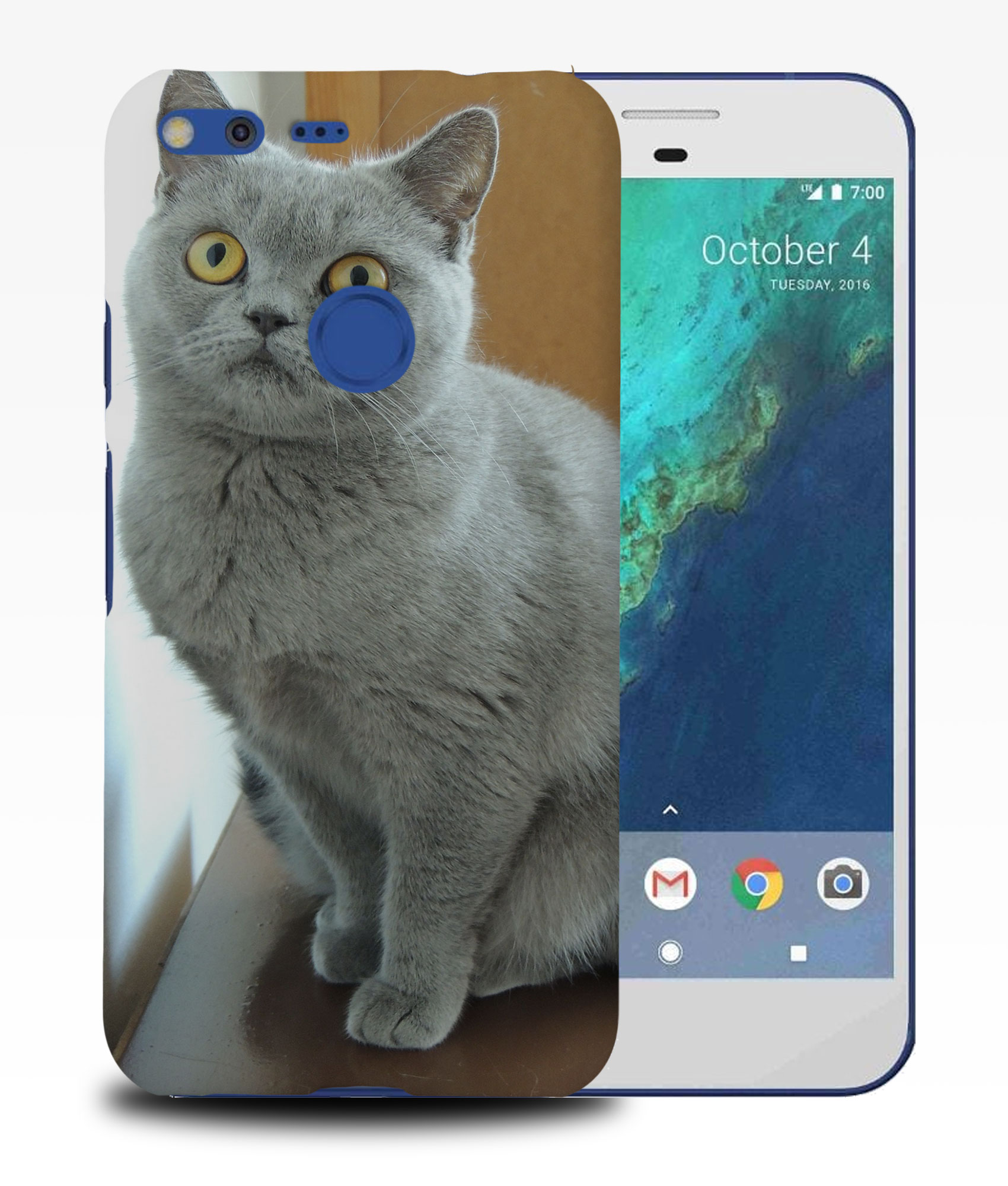 CASE COVER FOR GOOGLE PIXEL|BRITISH SHORTHAIR CAT 22 - Picture 10 of 11