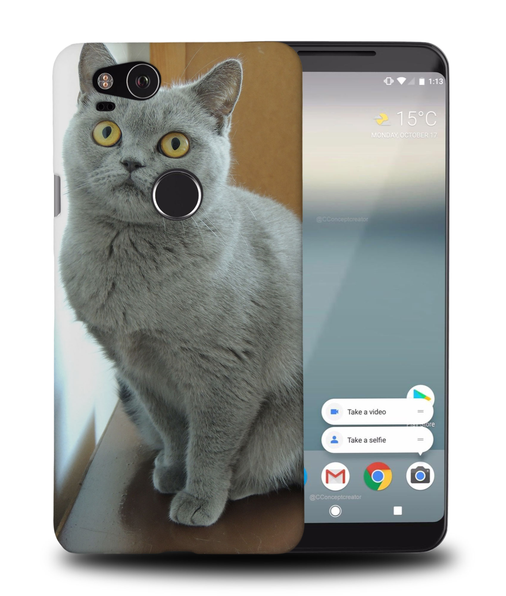 CASE COVER FOR GOOGLE PIXEL|BRITISH SHORTHAIR CAT 22 - Picture 9 of 11