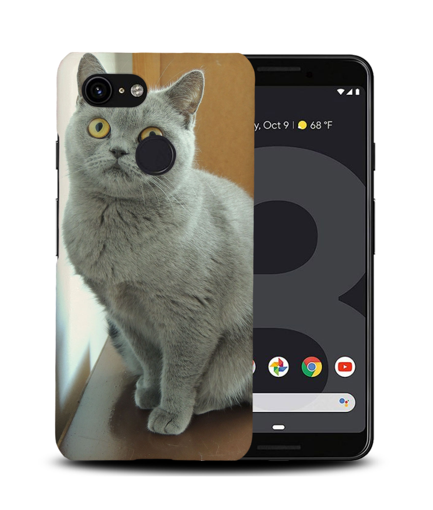 CASE COVER FOR GOOGLE PIXEL|BRITISH SHORTHAIR CAT 22 - Picture 7 of 11