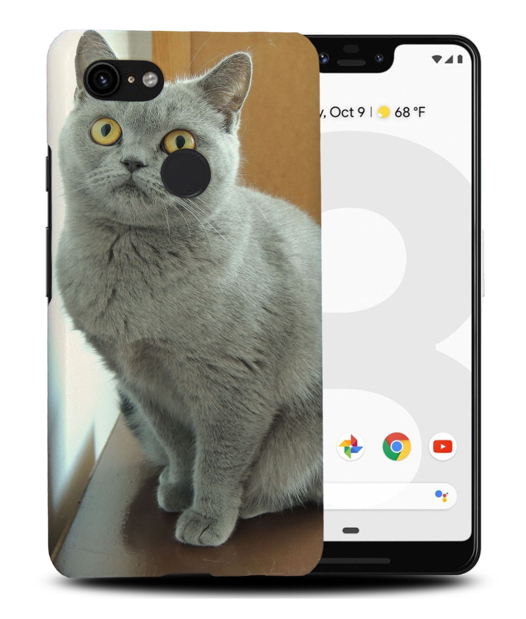 CASE COVER FOR GOOGLE PIXEL|BRITISH SHORTHAIR CAT 22 - Picture 6 of 11