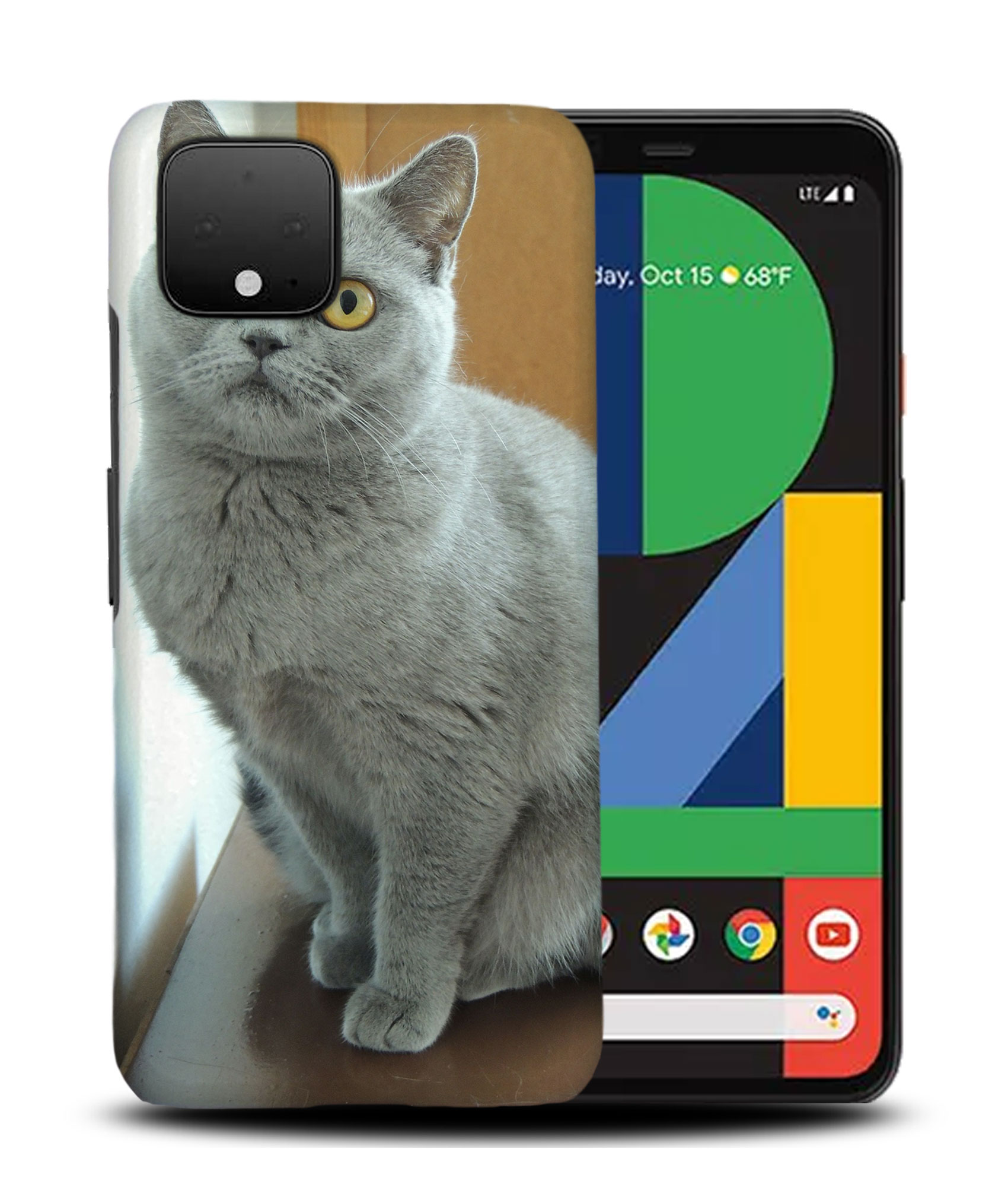 CASE COVER FOR GOOGLE PIXEL|BRITISH SHORTHAIR CAT 22 - Picture 5 of 11