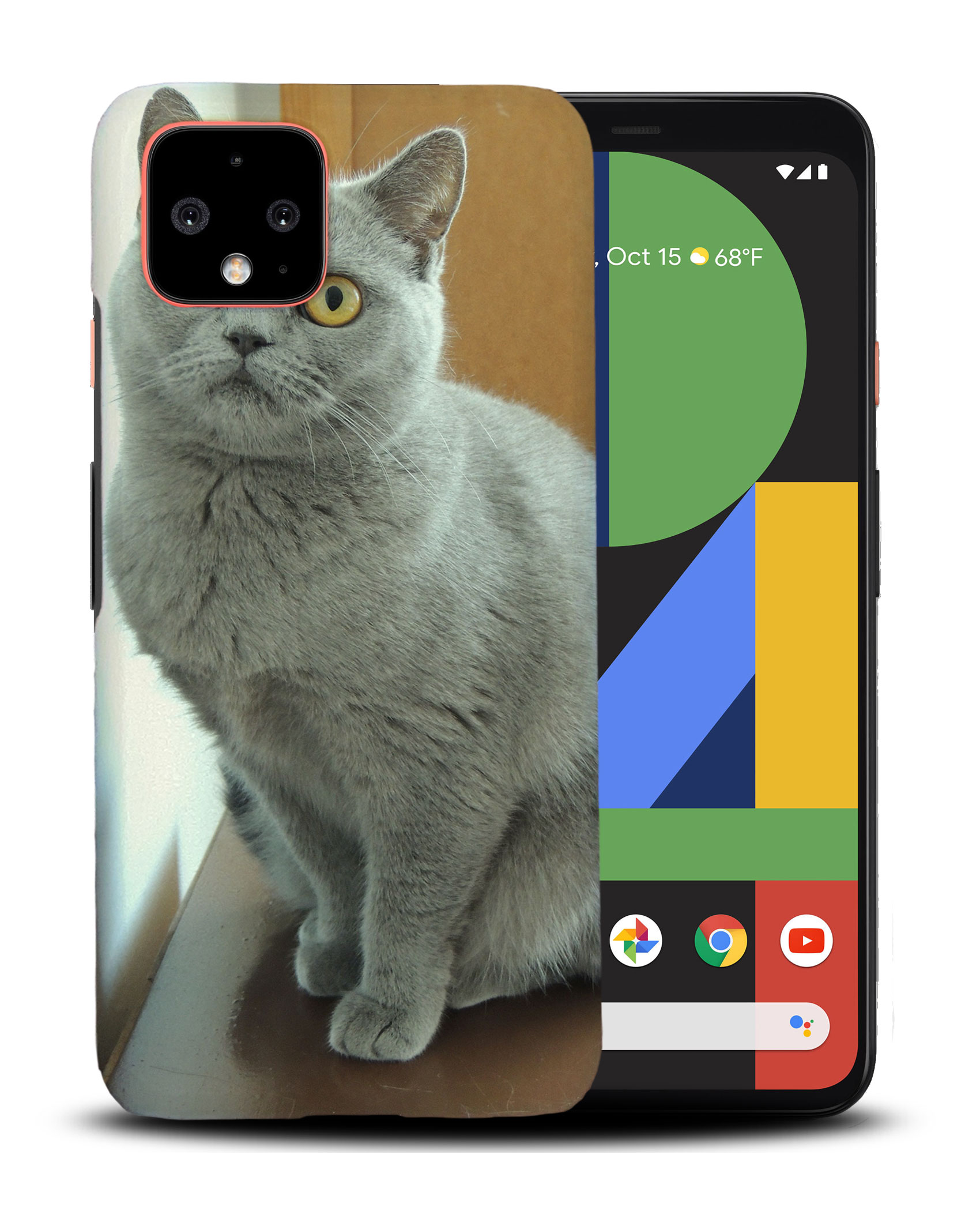 CASE COVER FOR GOOGLE PIXEL|BRITISH SHORTHAIR CAT 22 - Picture 4 of 11