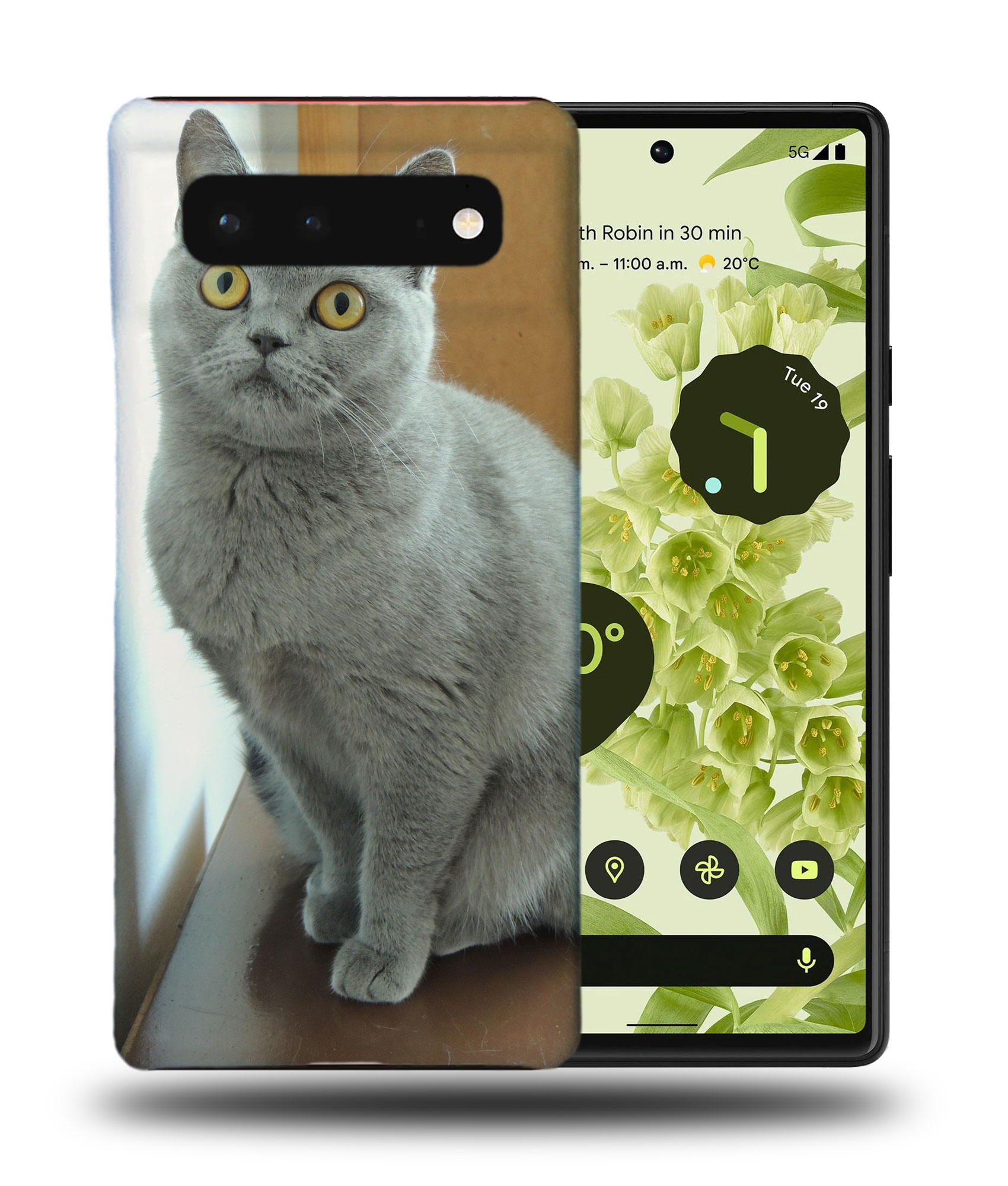 CASE COVER FOR GOOGLE PIXEL|BRITISH SHORTHAIR CAT 22 - Picture 3 of 11