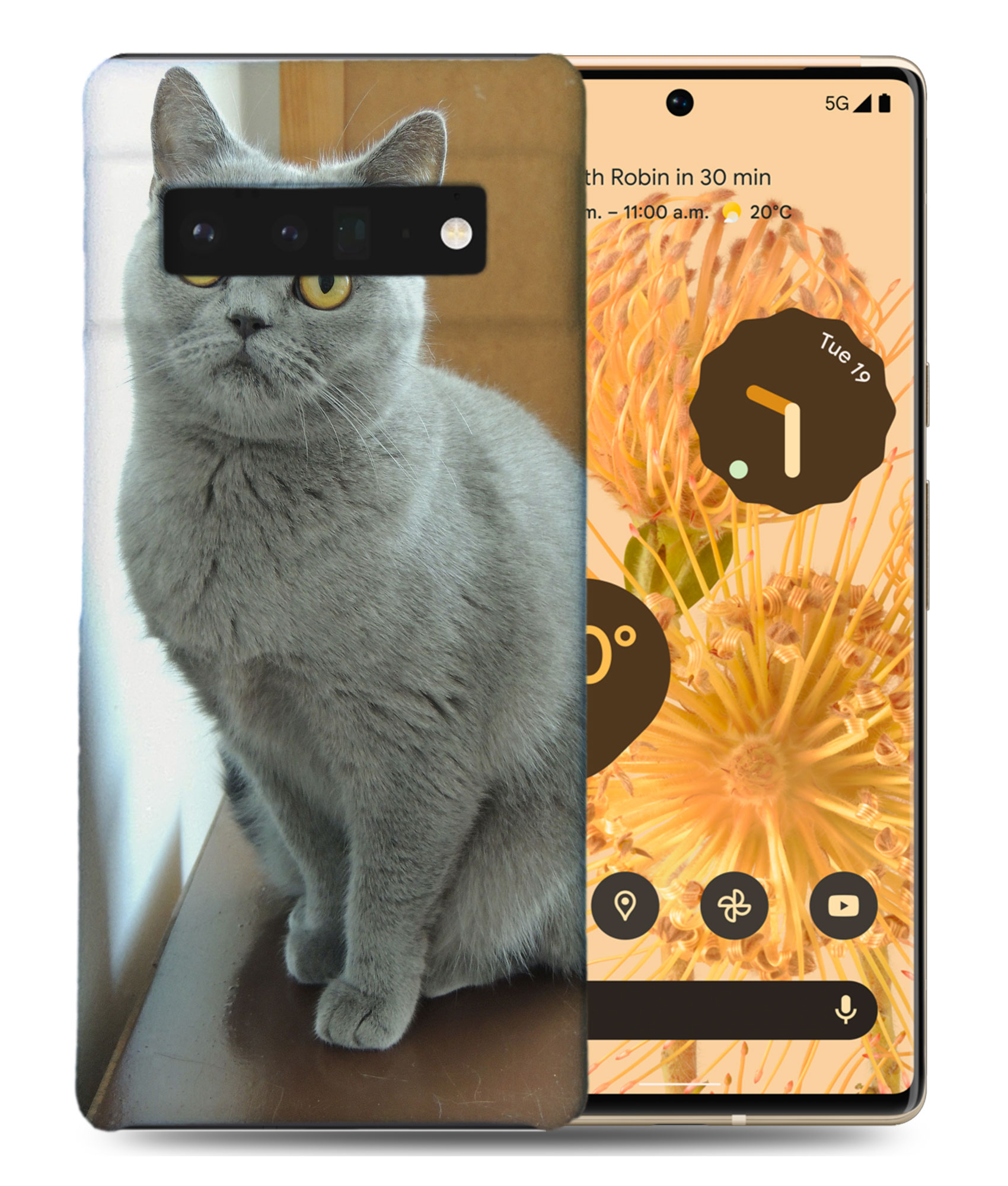 CASE COVER FOR GOOGLE PIXEL|BRITISH SHORTHAIR CAT 22 - Picture 2 of 11