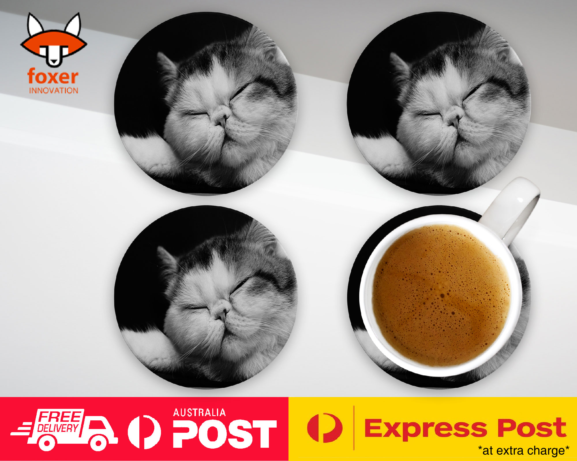 COASTER COFFEE DRINKING MAT|EXOTIC SHORTHAIR CAT 1