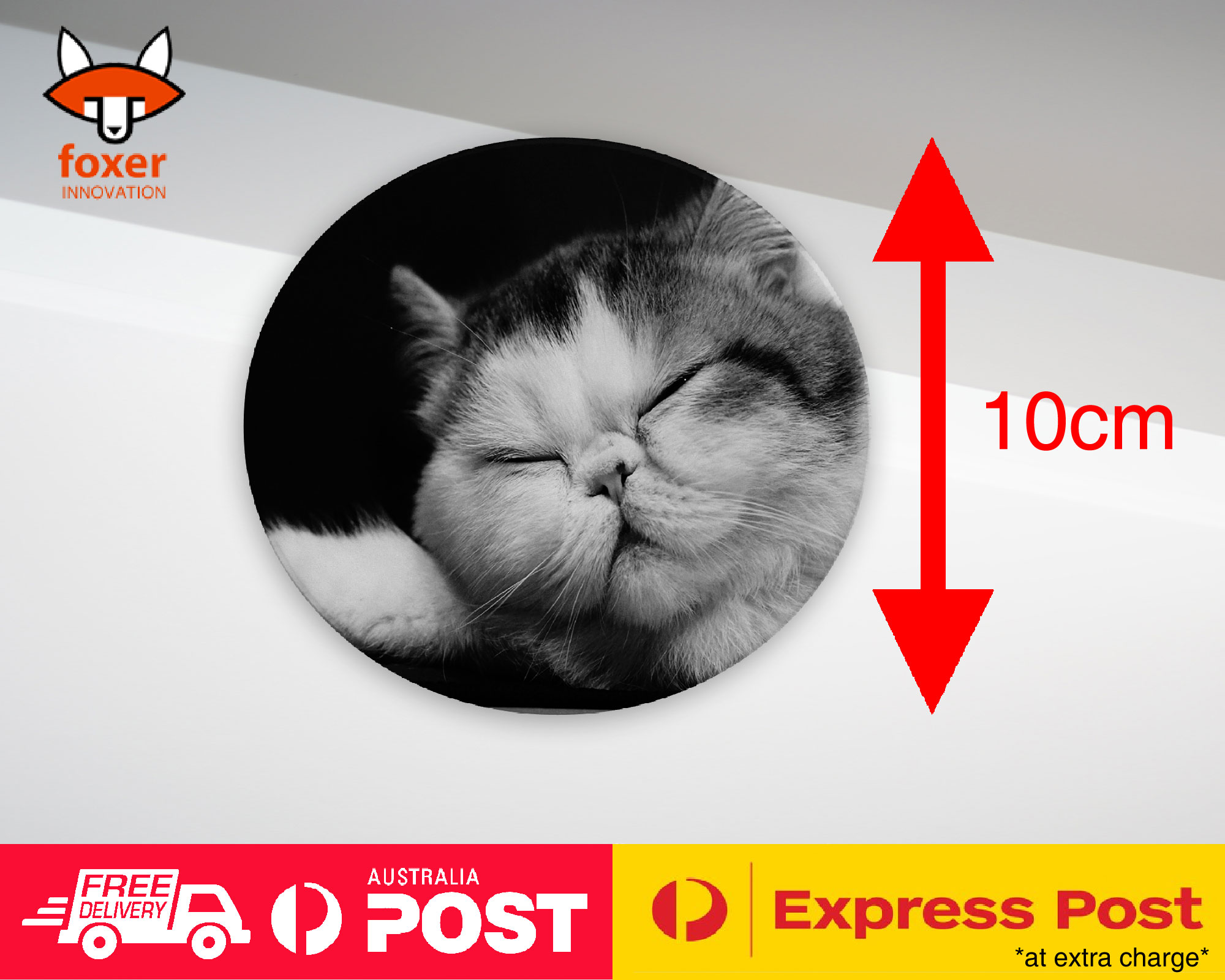 COASTER COFFEE DRINKING MAT|EXOTIC SHORTHAIR CAT 1